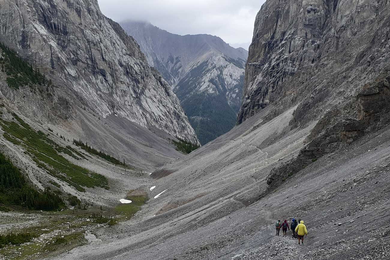 Small group on a hike with their guide near Banff.