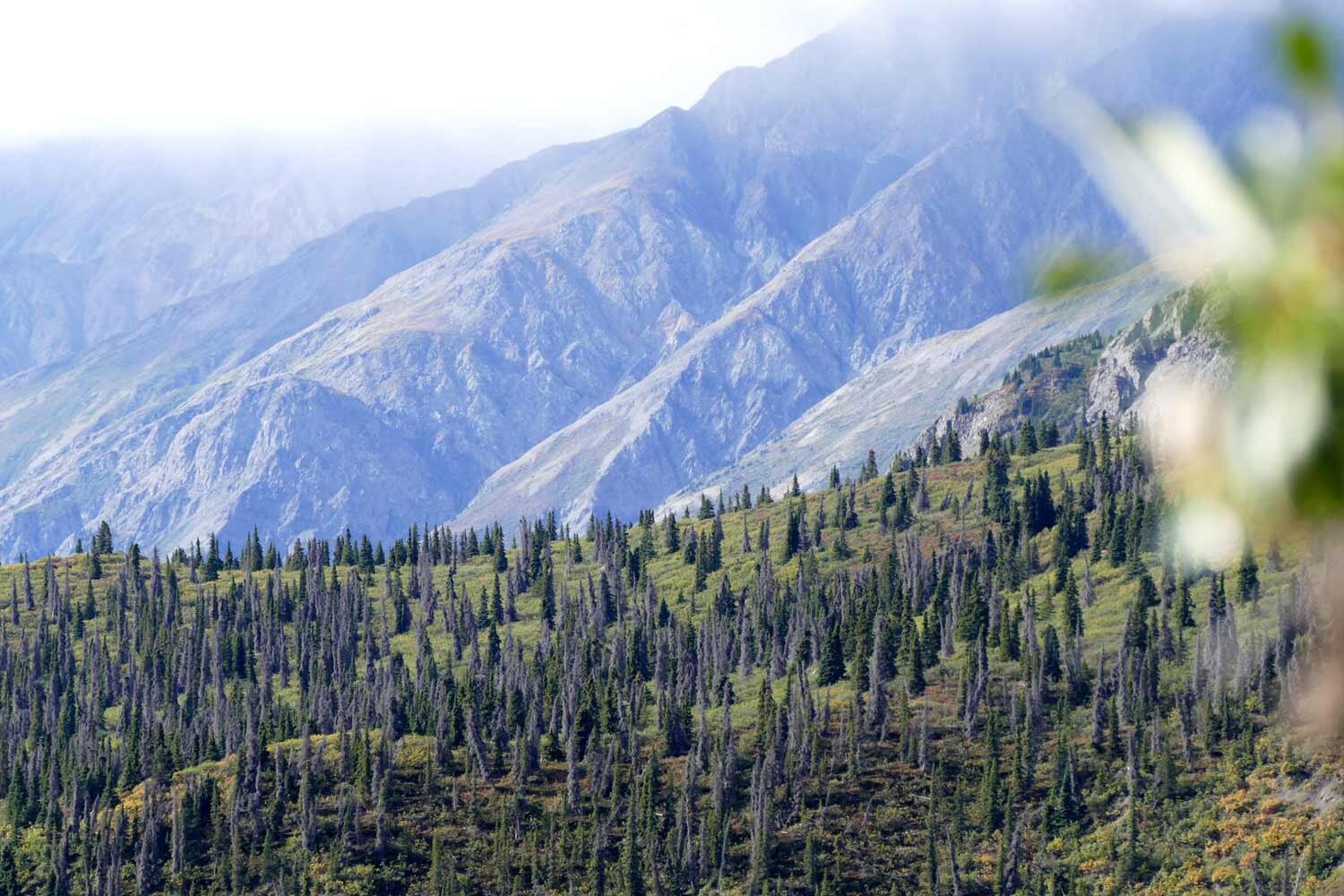 Mountain landscapes during a hiking package in Whitehorse and Dawson City.