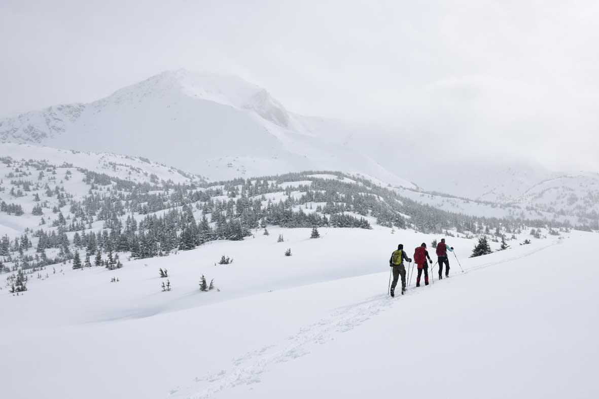 Backcountry ski guide employment in Nelson, British Columbia. 