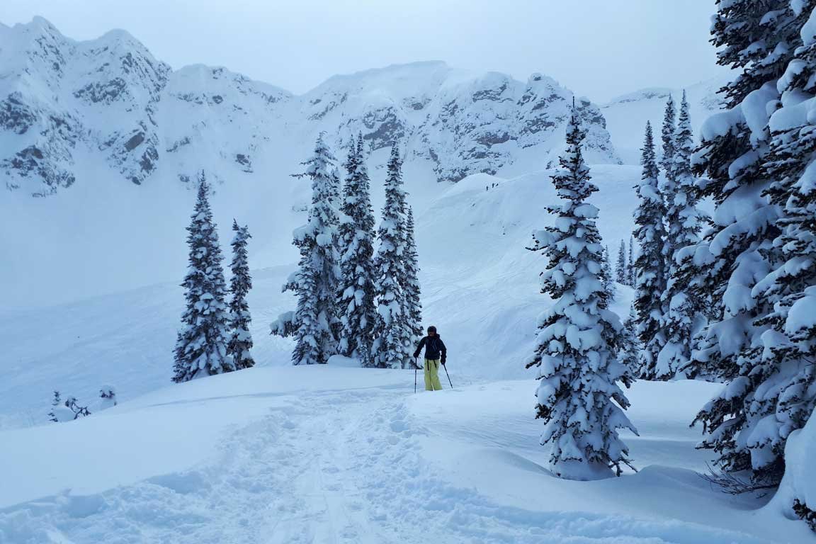 Backcountry skiing on a beginner backcountry ski camp in Canada.