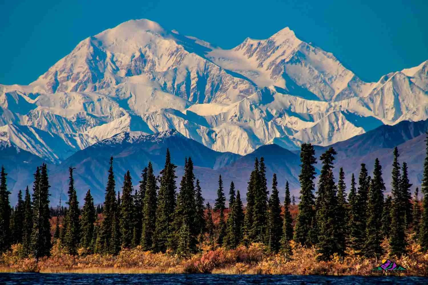 Denali National Park Travel Guide 2025 denali-national-park-travel-guide-2025