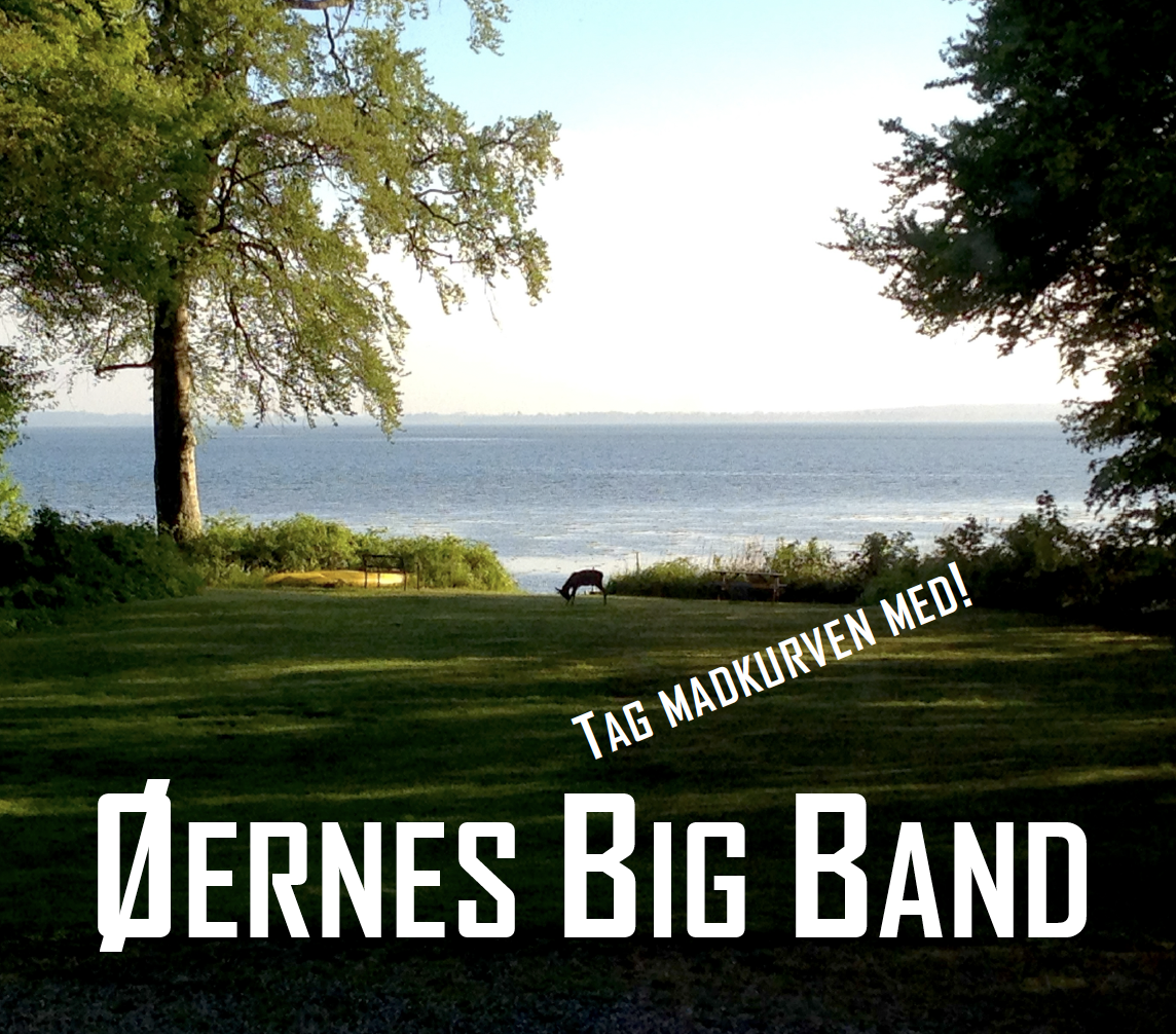 Øernes Big Band - på plænen ved Orenæs Saloner