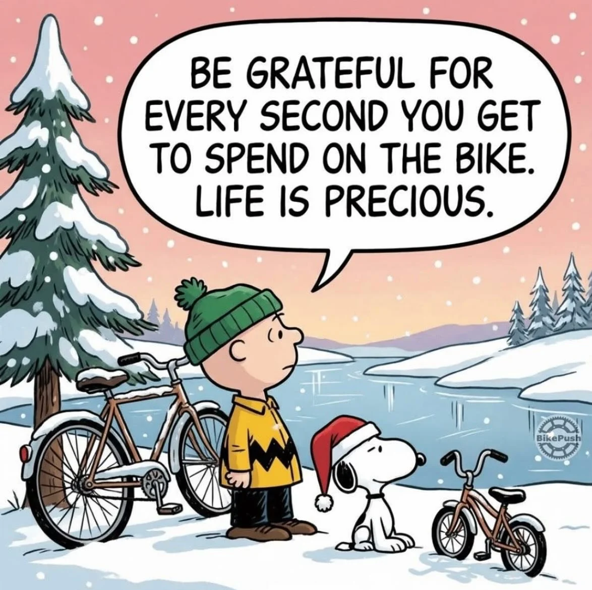 🎄✨ Merry Christmas from 
  Service de V&eacute;lo ✨🎄
 
As the year comes to an end, we just want to say a huge thank you to all our amazing clients for your support over the past year. Your trust, loyalty, and passion for cycling are what keep us g