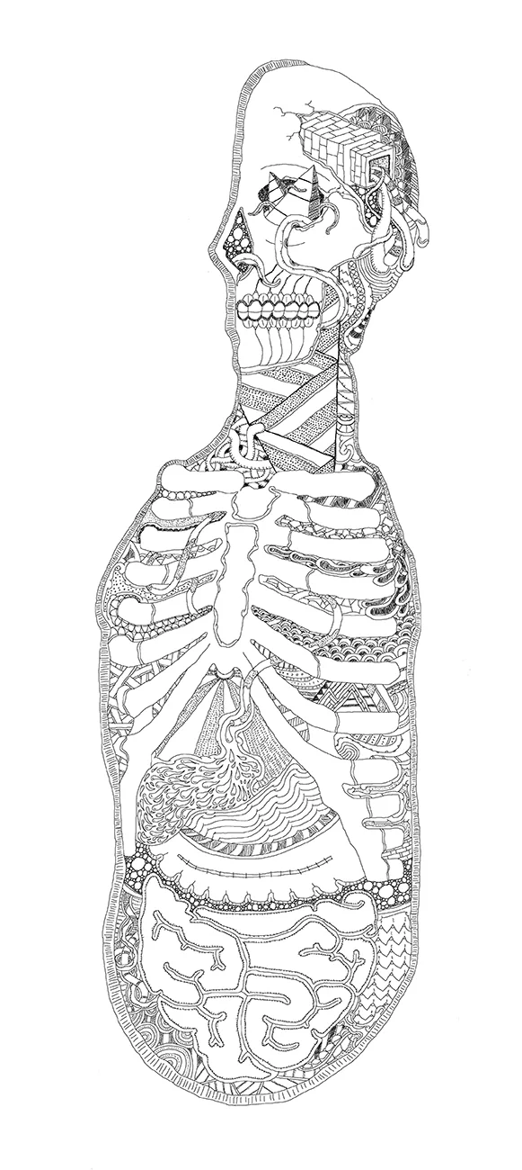 anatomy_flat.jpg