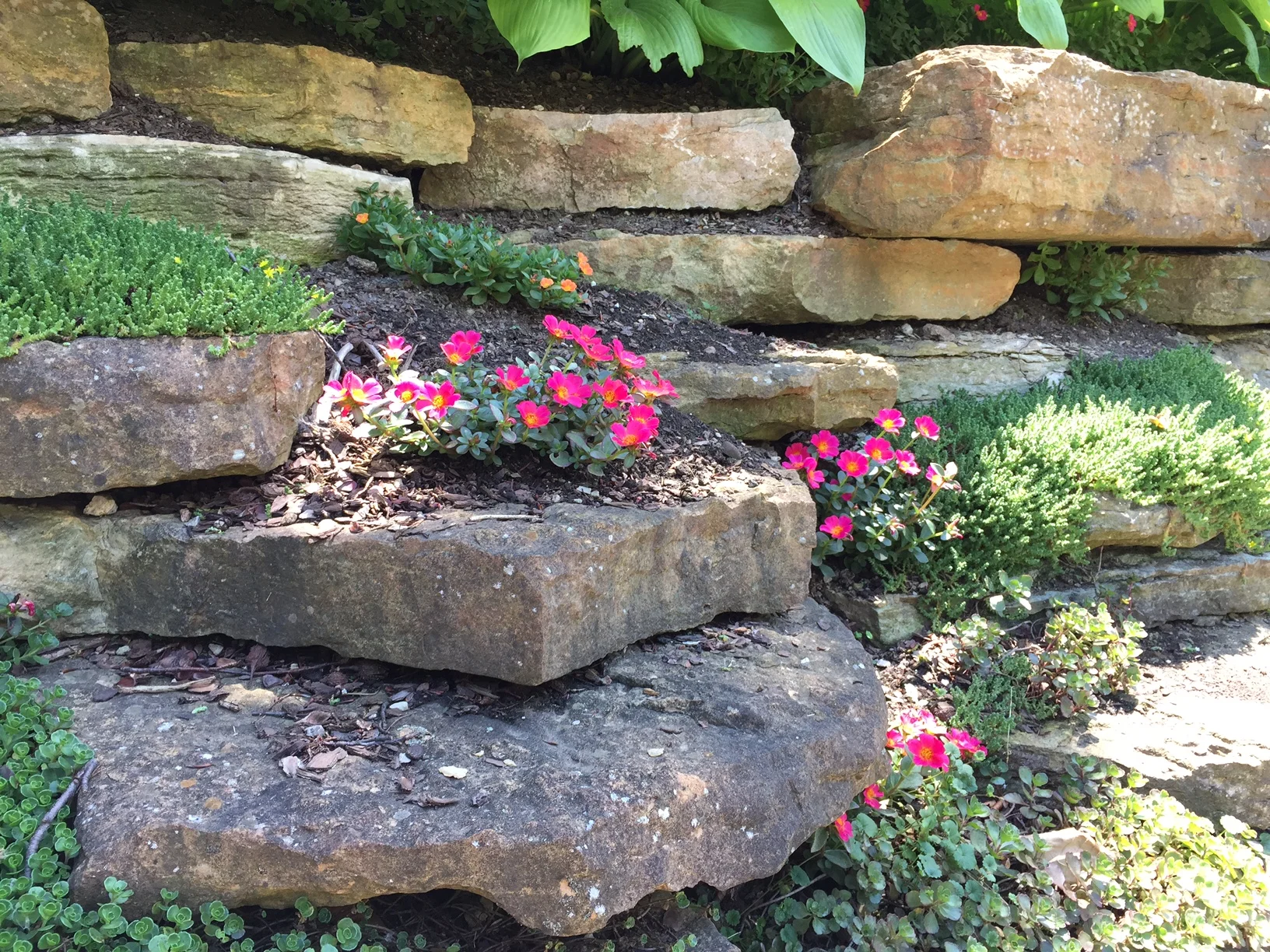 Arboretum Highlights — Bexley Arboretum
