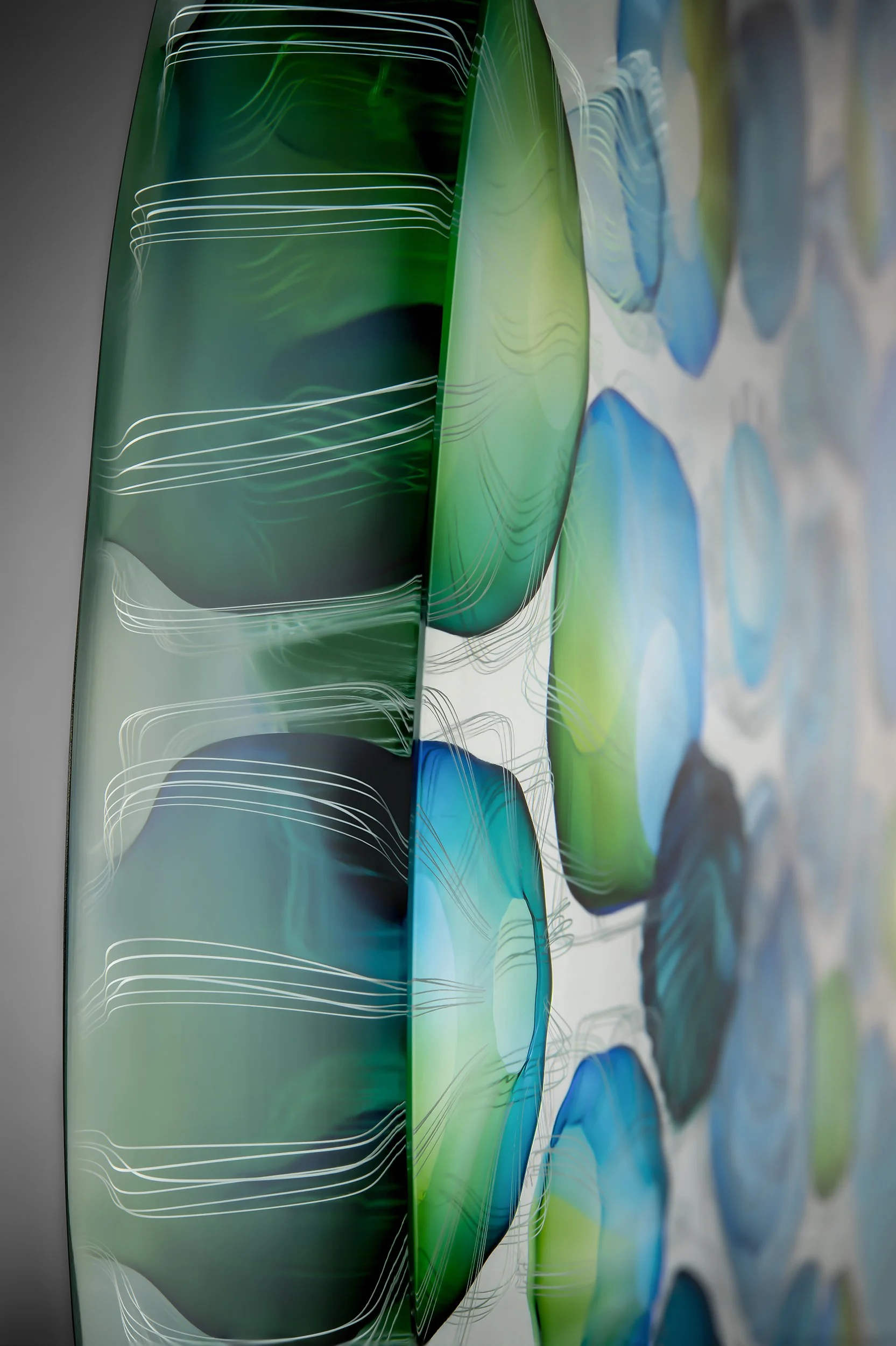 www Coral by Charlie Macpherson D.390mm.jpg