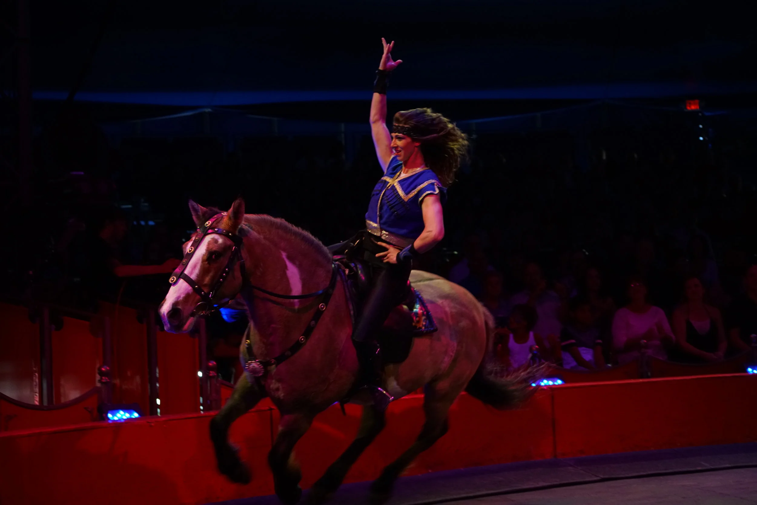 Circus Sarasota Internship!