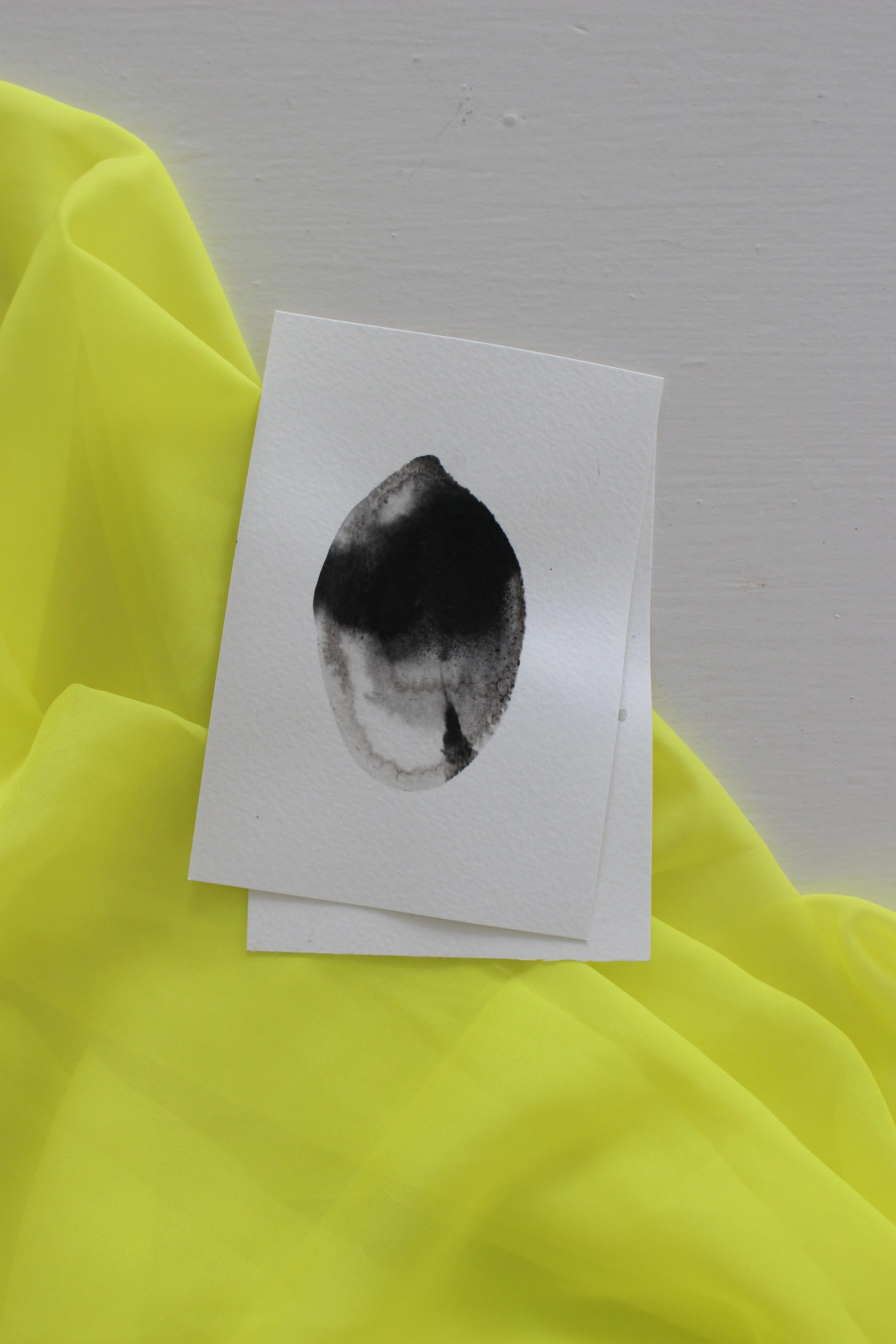 Kari Cahill - BLOTCHIMG_0186.JPG