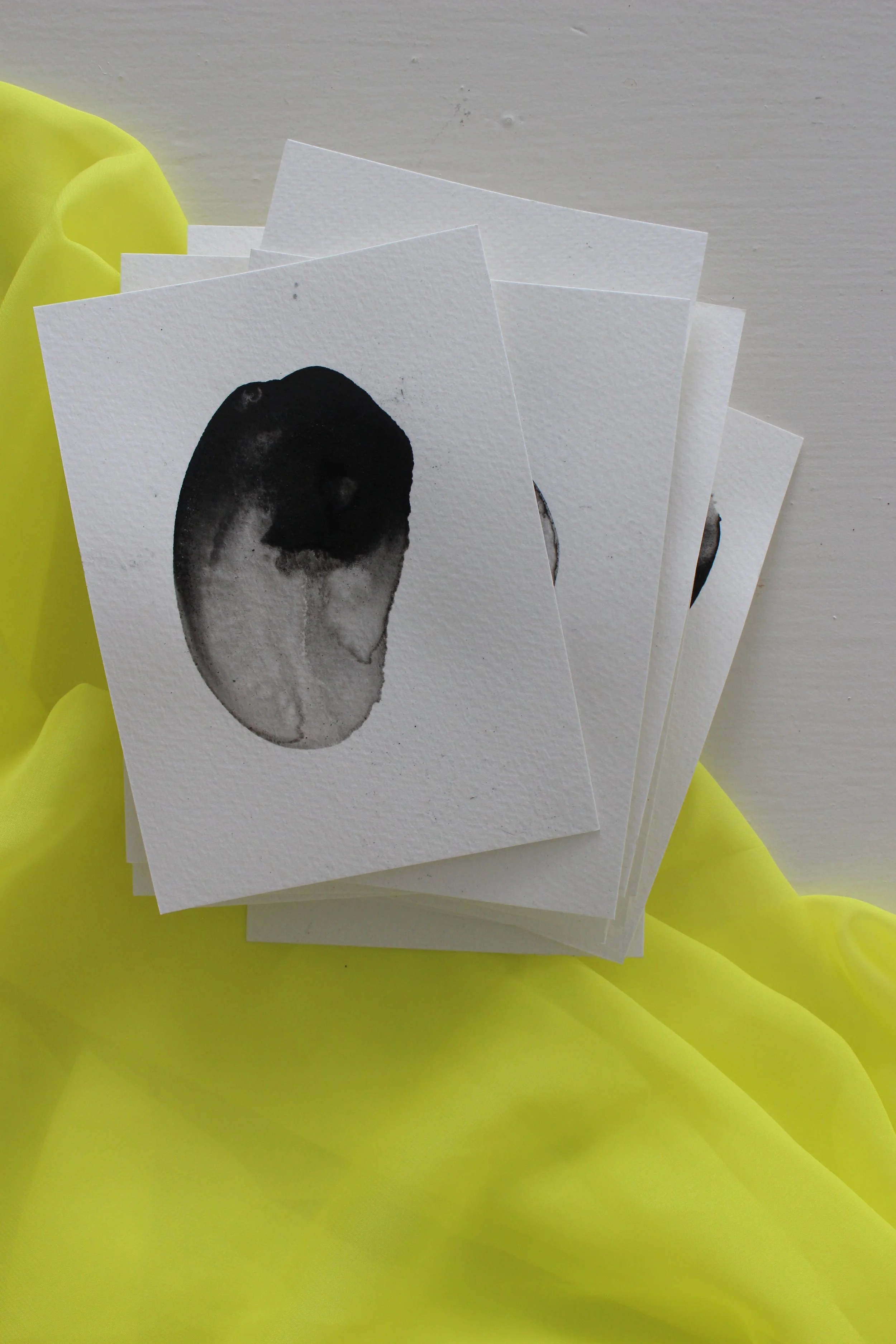 Kari Cahill - BLOTCHIMG_0203.JPG