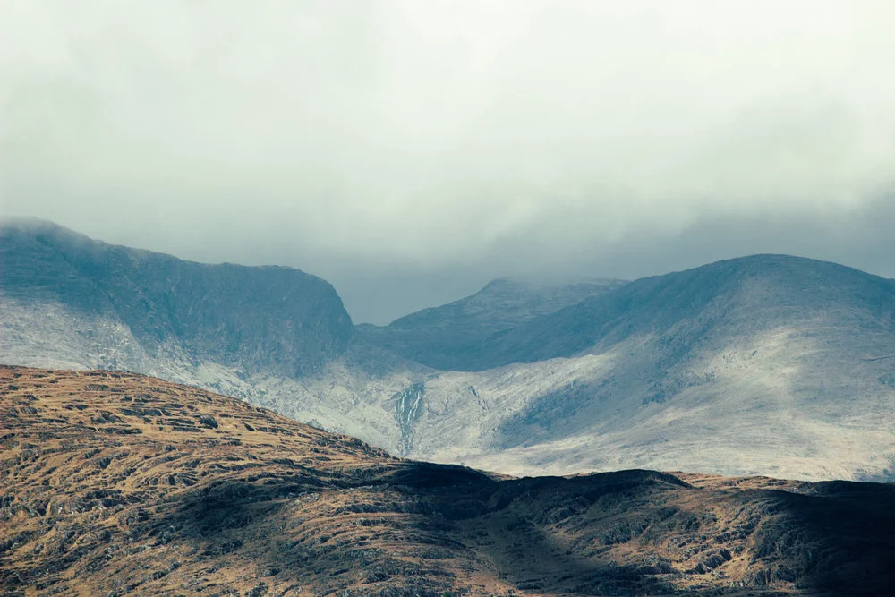 beara.jpg
