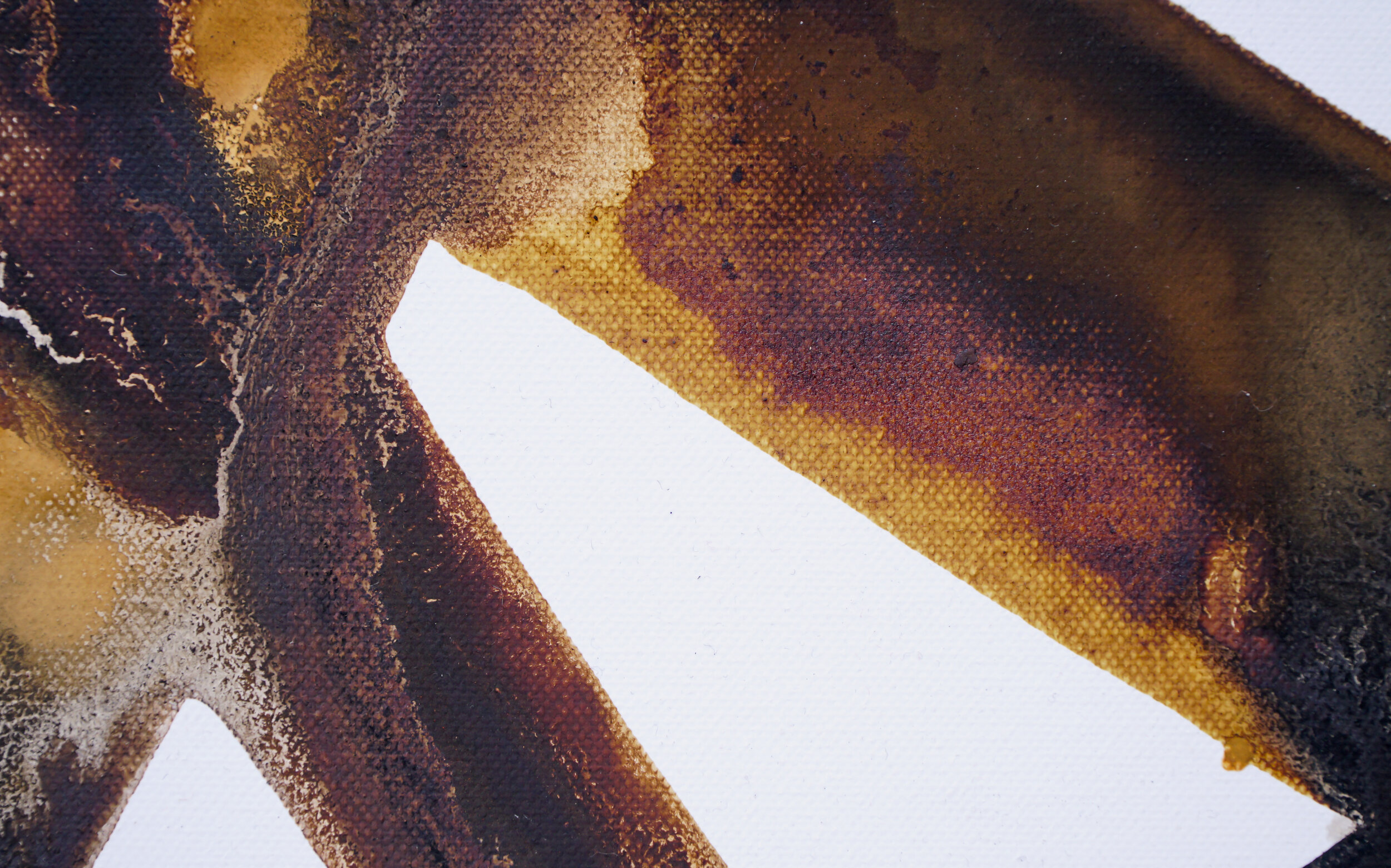Insignia Of Passage - Walnut, Oak Gall, Iron, Ash, Charred Oak, Rusty Dust - 41.5 x 42.5 detail 2.jpg