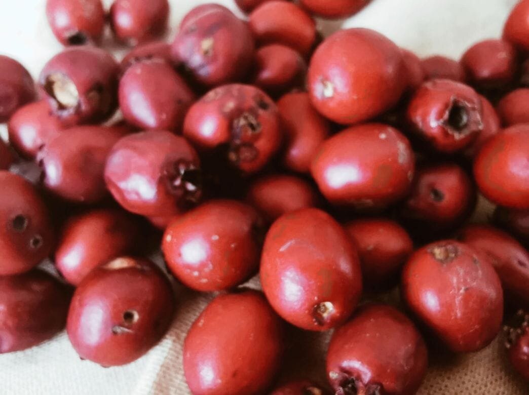 WhatsApp Image 2020-10-14 at 14.44.38 (1).jpeg