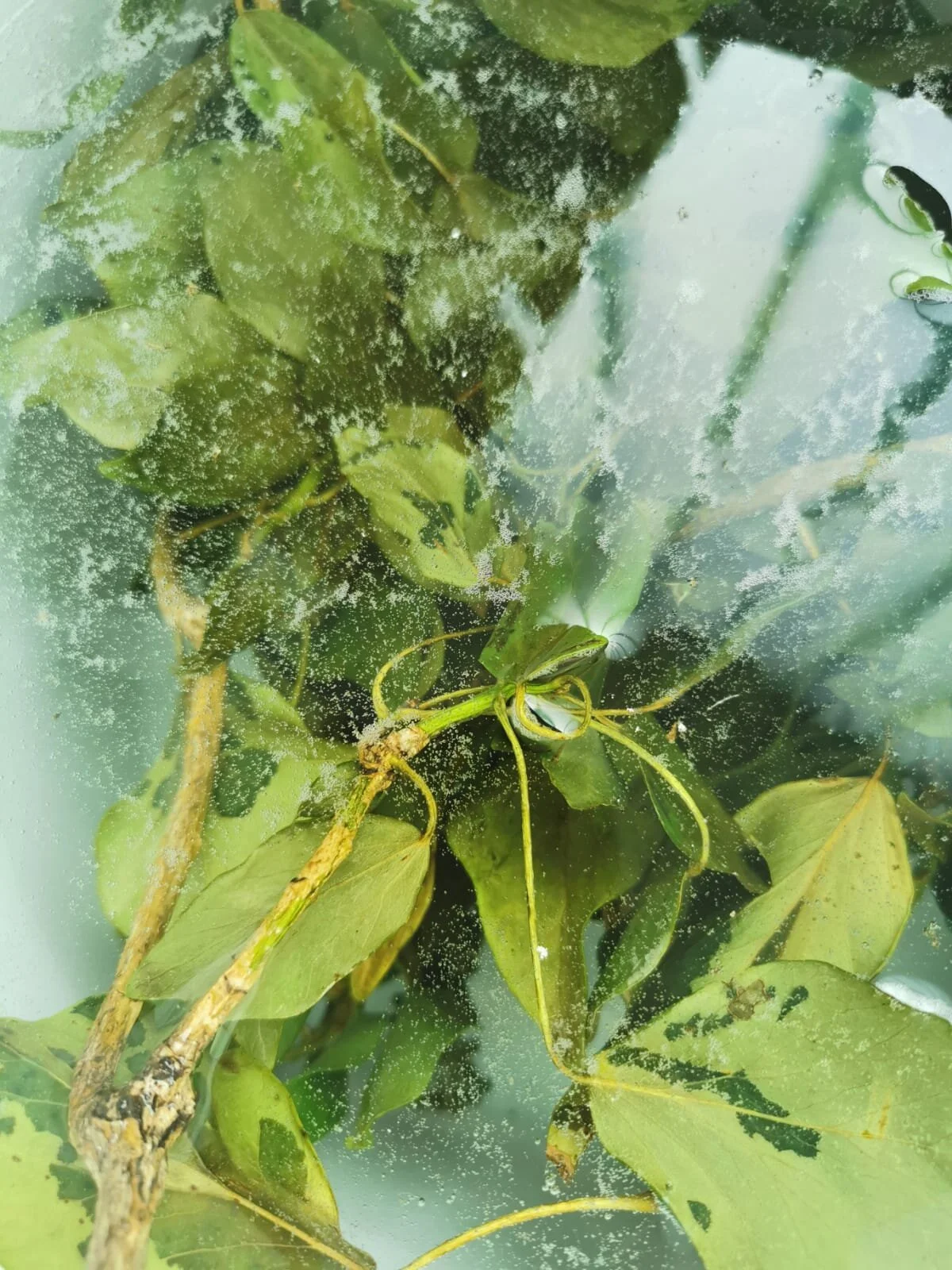 WhatsApp Image 2020-10-14 at 15.03.08.jpeg