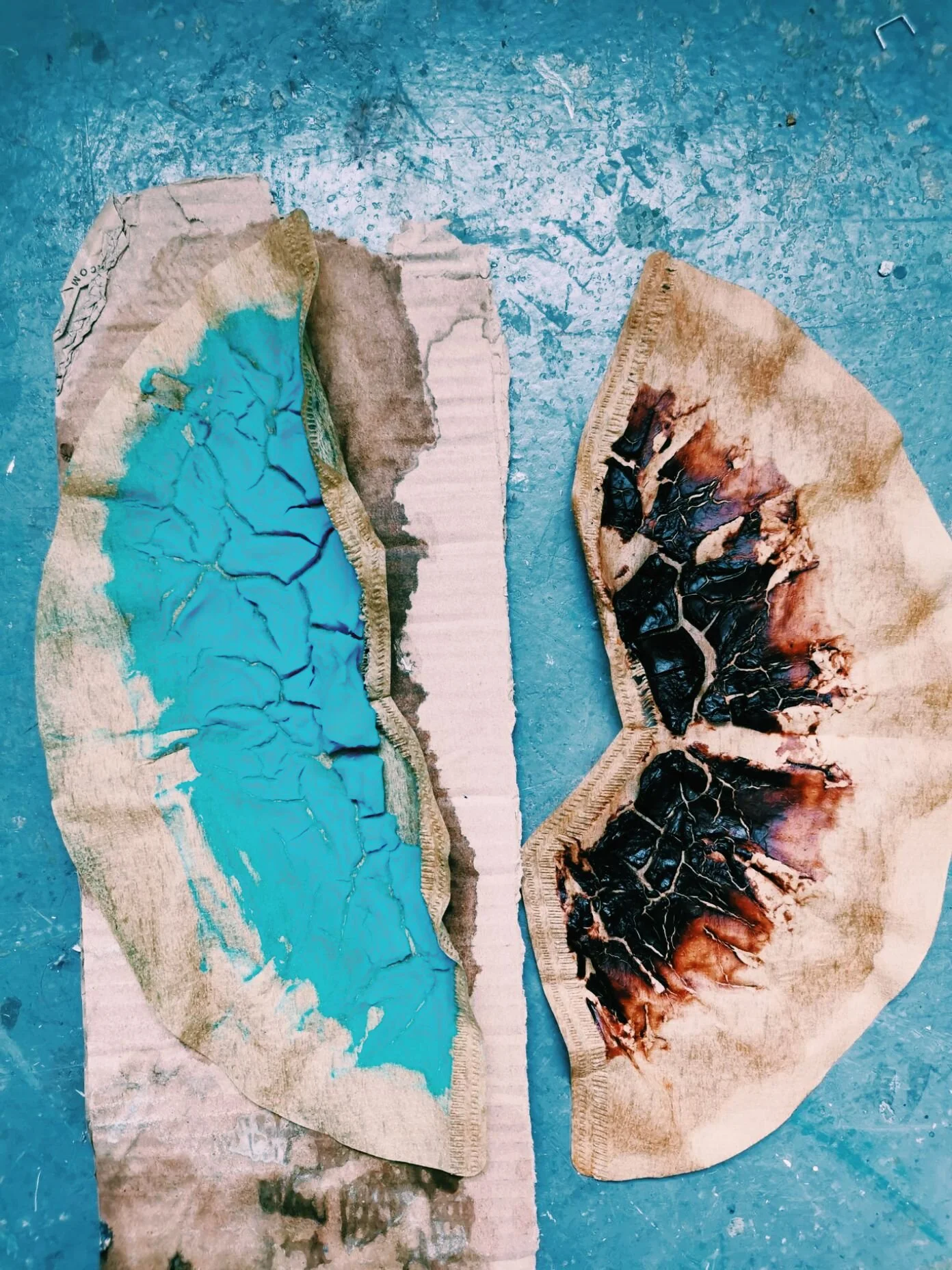 Copper Sloe Dried.jpeg