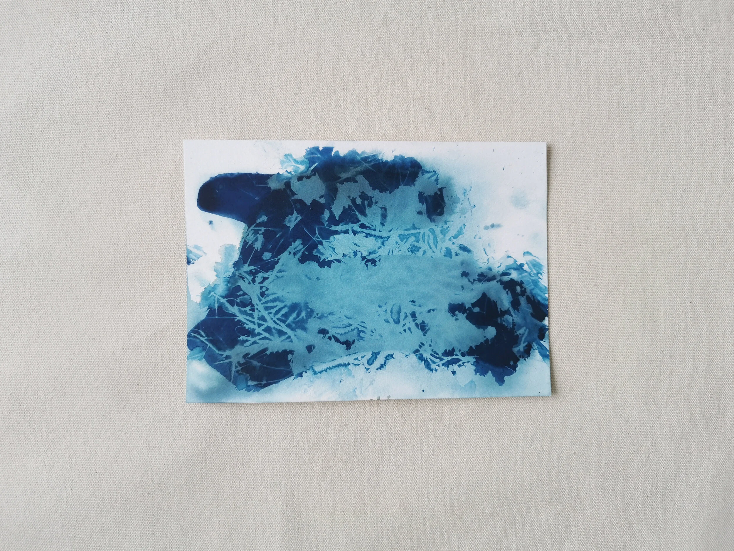 Jostled in Dew 2020 - Cyanotype and Rainwater on Paper - 14.5 x 21cm - Kari Cahill- white.jpg