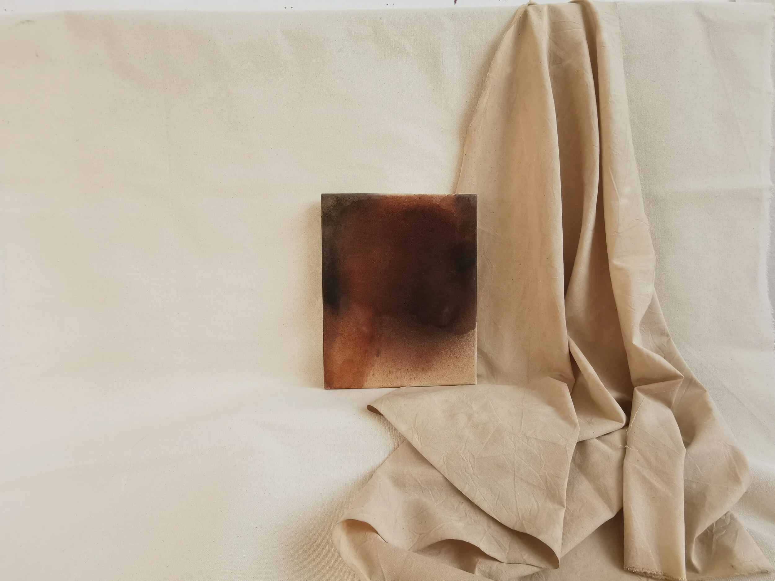 Flared And Roared 2020 - Hawthorn Sloe, Liquid Iron. Soda, Dock Tips and Alum on Cotton Canvas - 24 x 30cm - Kari Cahill - studio.jpg