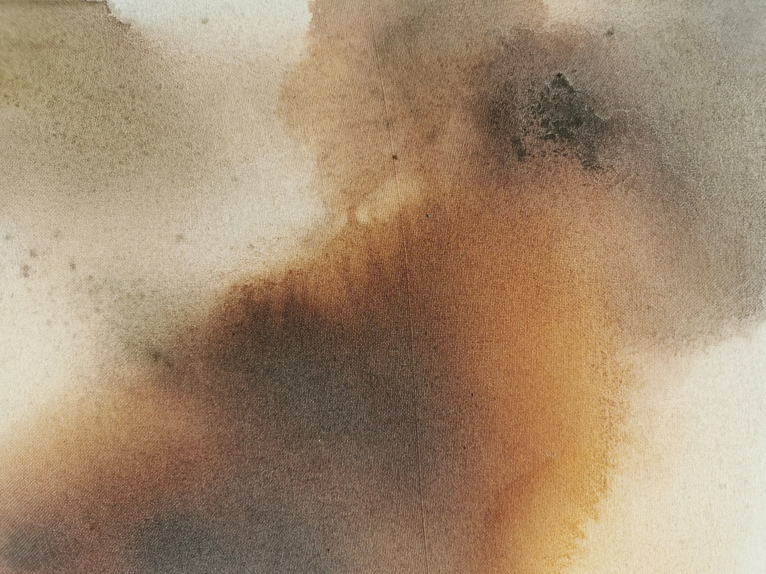 Sable On A Shield Of Sky 2020 - Hawthorn, Docktips, Sloe, Soda and Alum on Cotton Canvas - 40 x 30cm - Kari Cahill - detail2.jpg