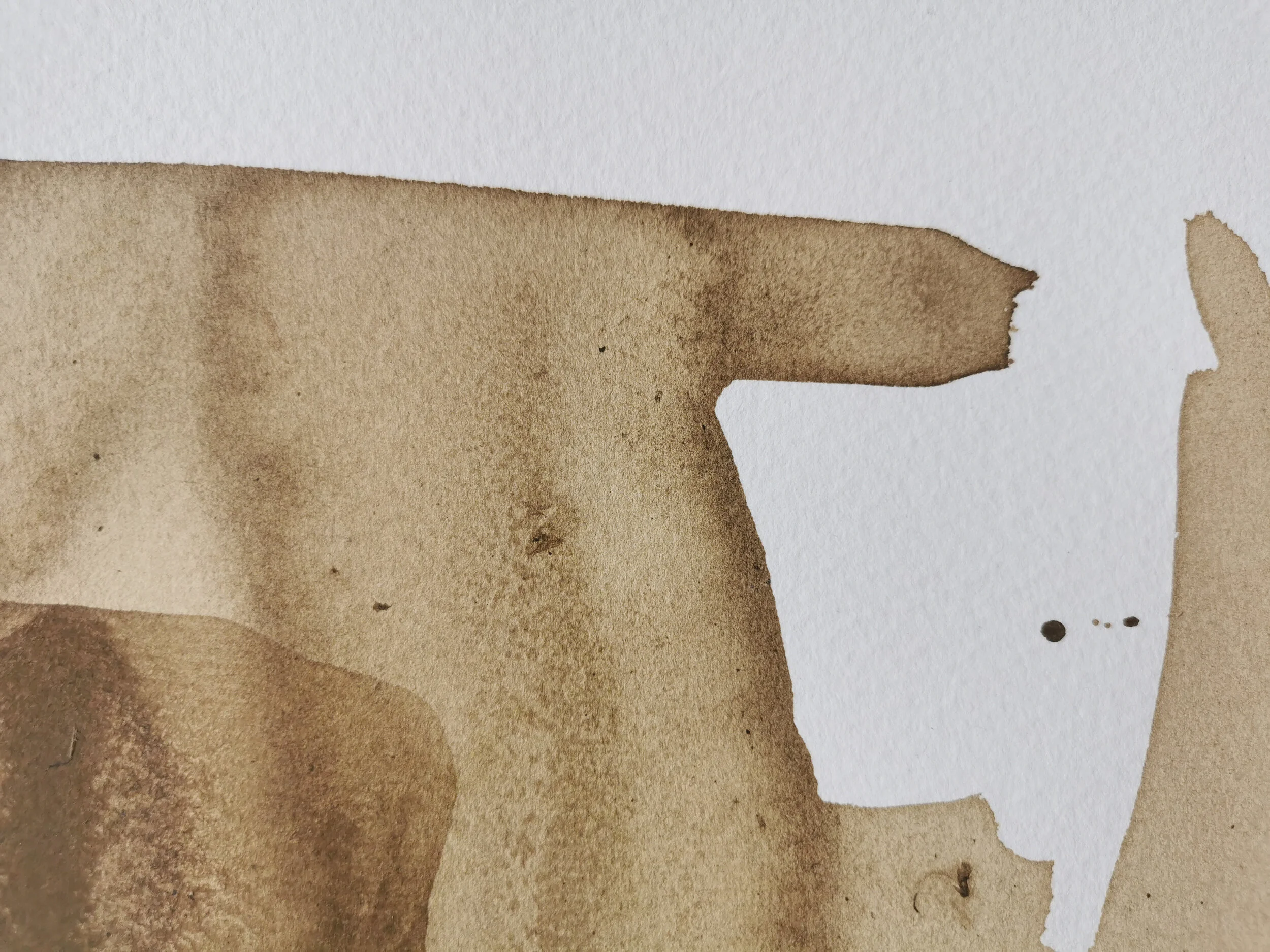 Dandy Bloom 2020 - Dandelion on Paper - 26 x 18 cm - Kari Cahill - detail.jpg