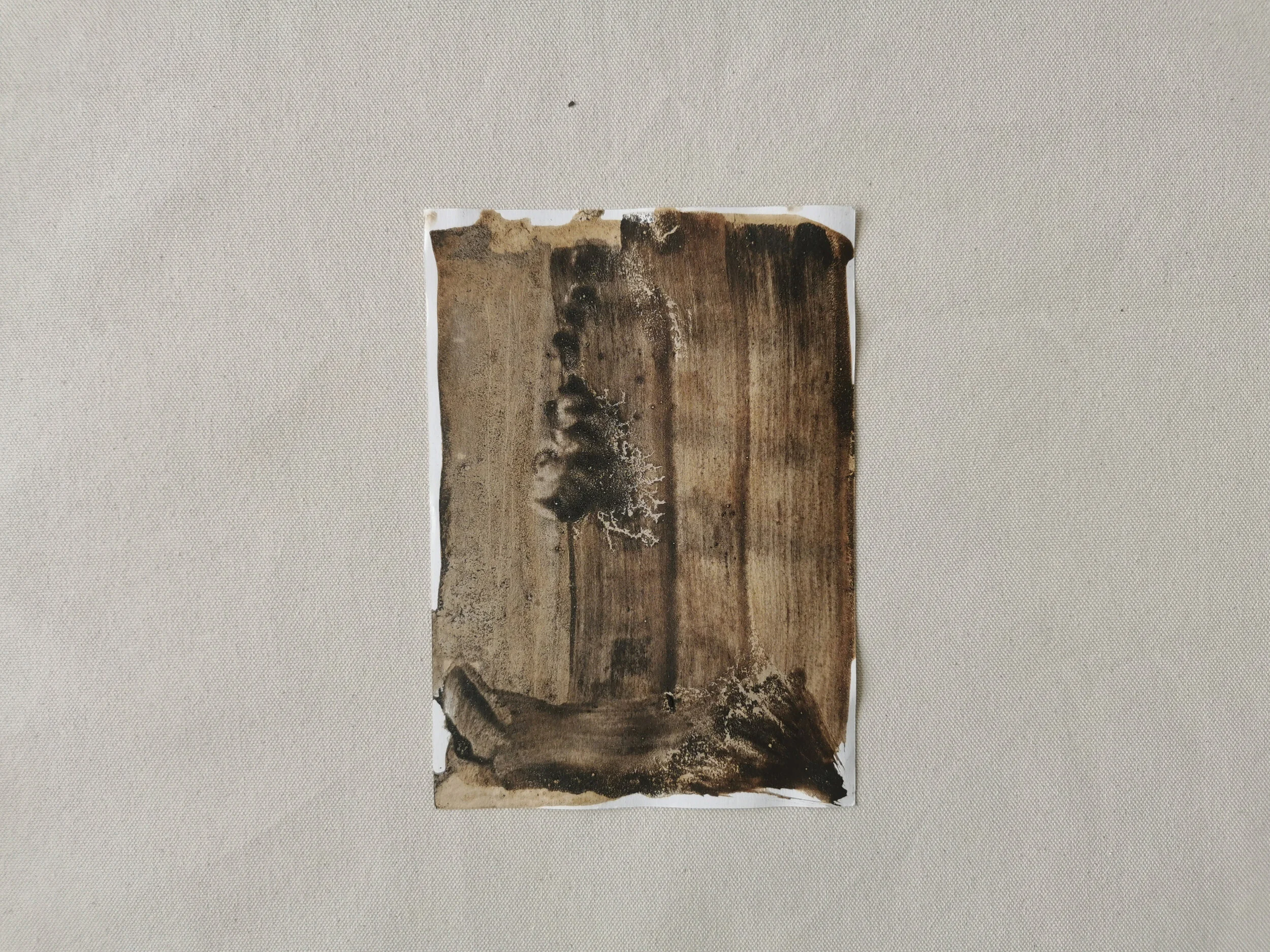 Of A Draft 2021 - 15 x 21cm - Oak Gall and Iron - Kari Cahill - white.jpg