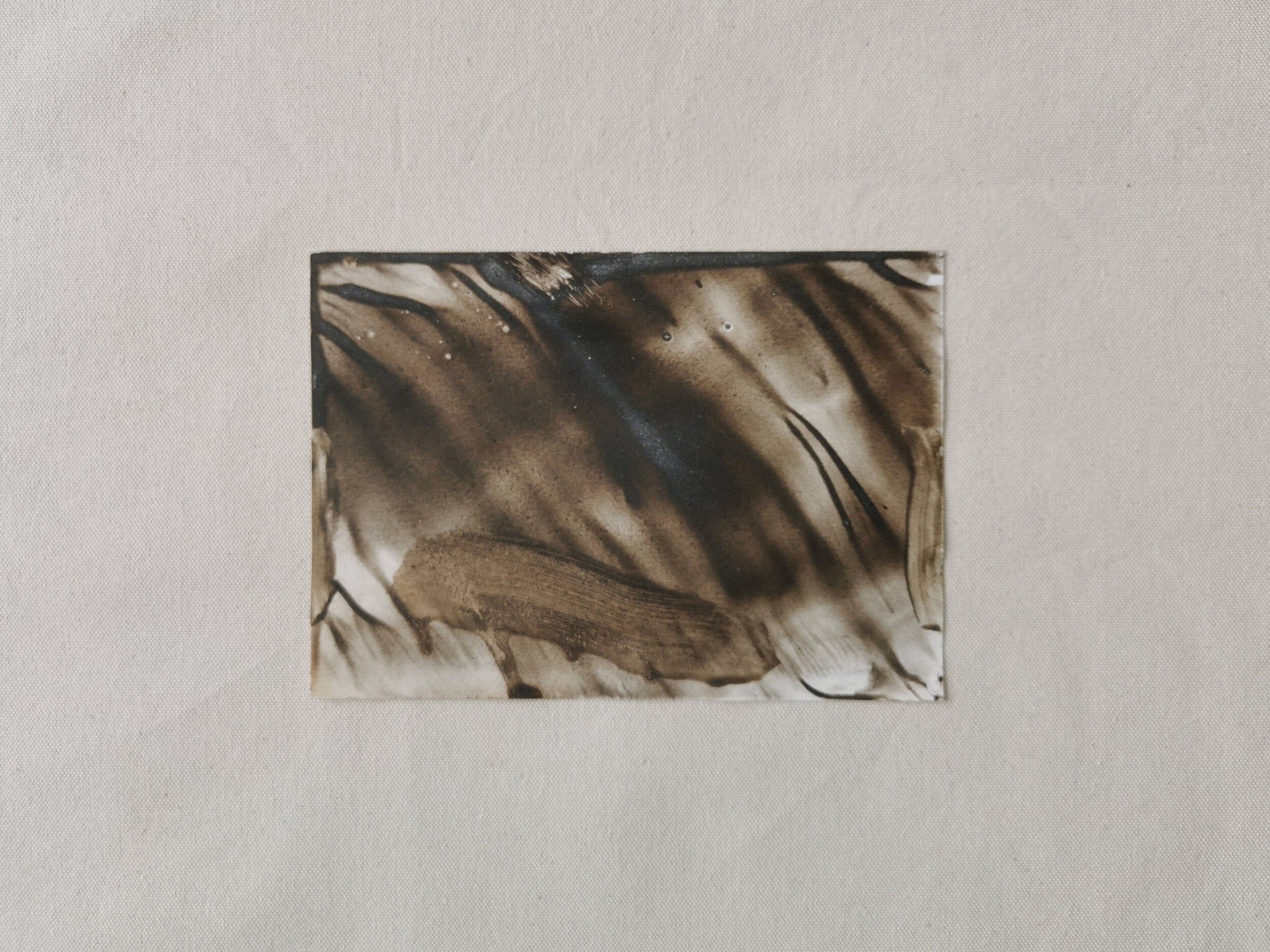 Of A Shimmer 2021 - 21 x 15 - Oak Gall and Liquid Iron - Kari Cahill - white.jpg