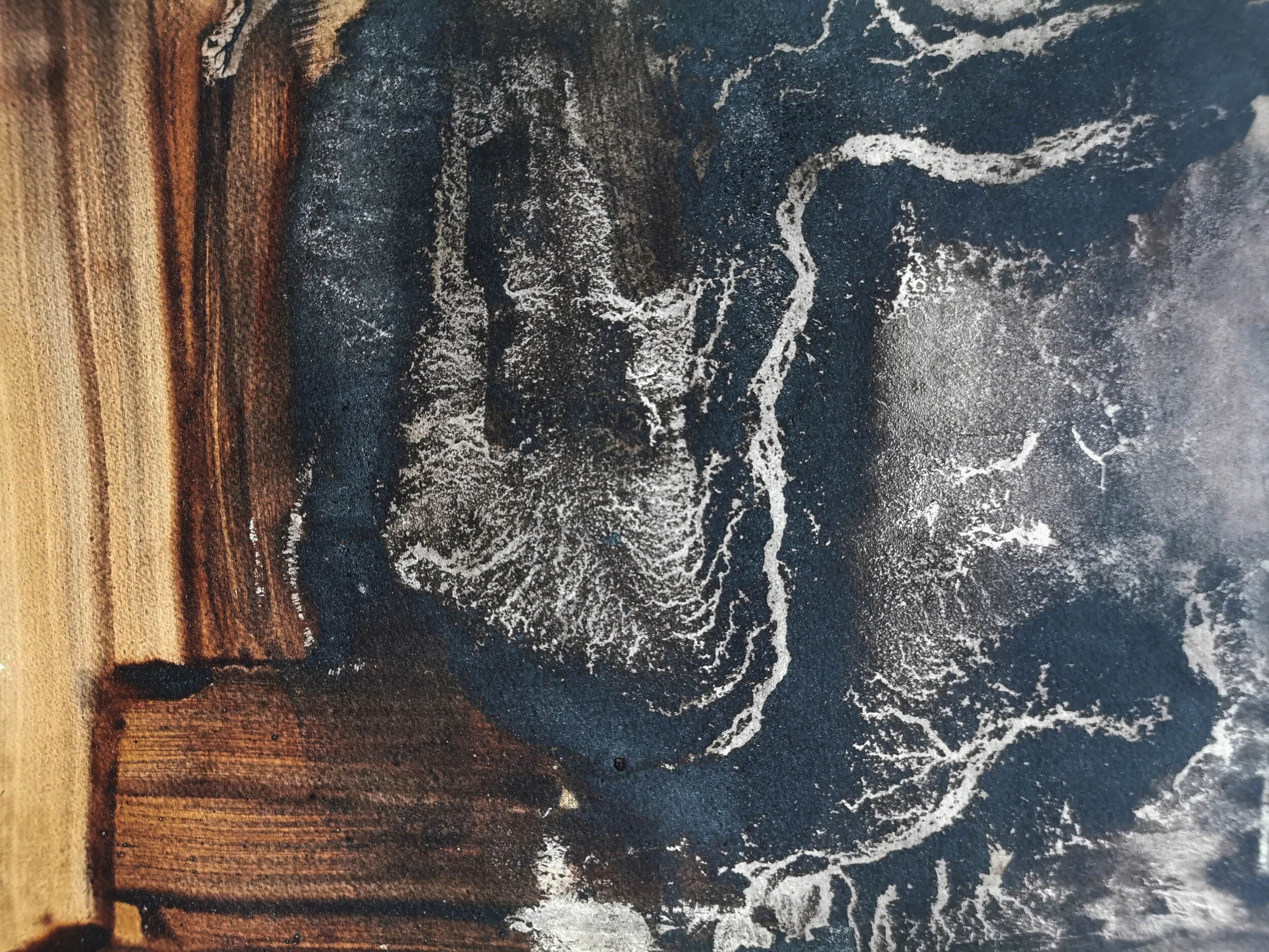 Shadow Shelter 2020 - Oak Gall and Iron - 32 x 50cm - Kari Cahill -  - detail.jpg