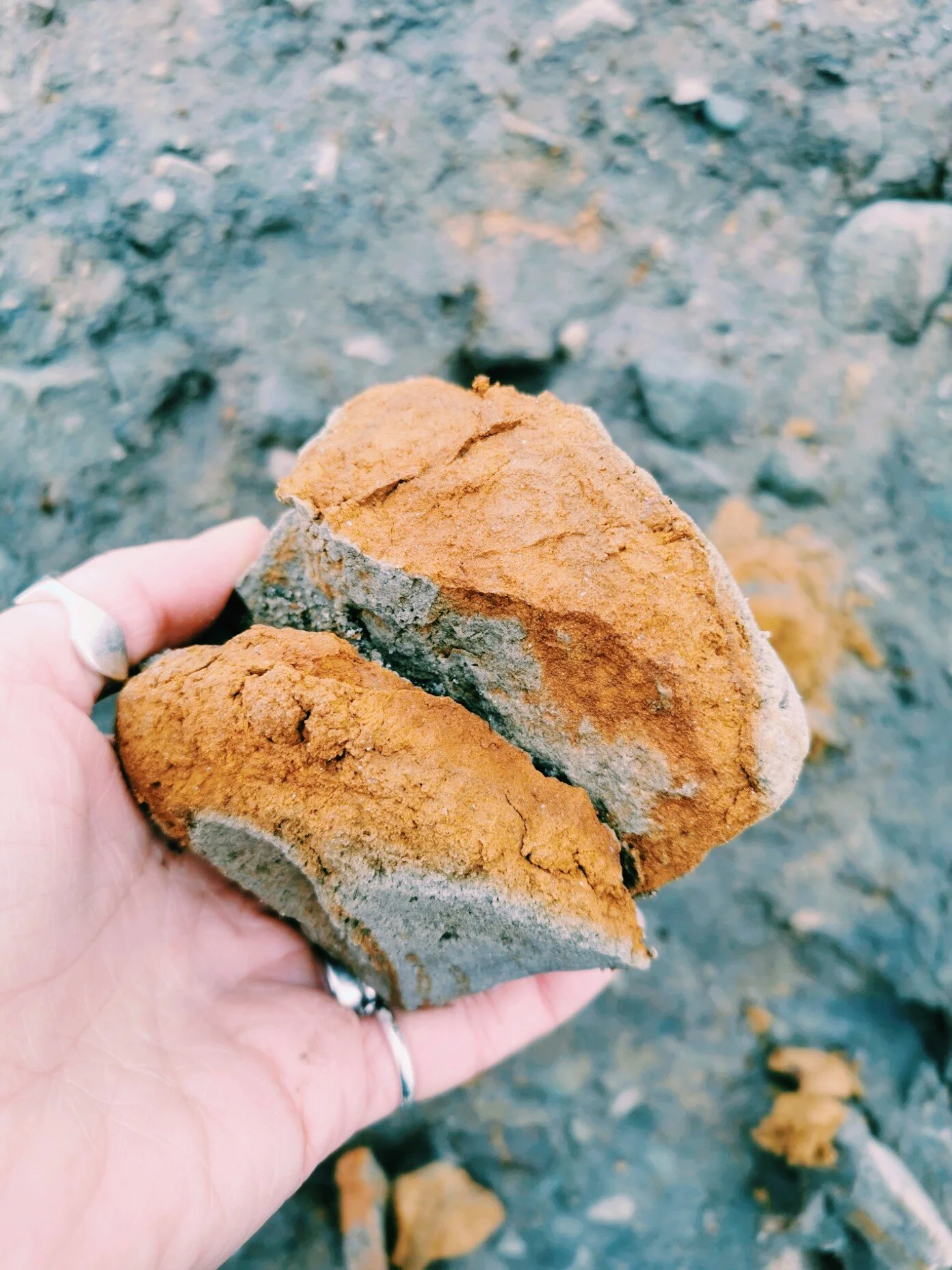 00001Kari Cahill.jpeg