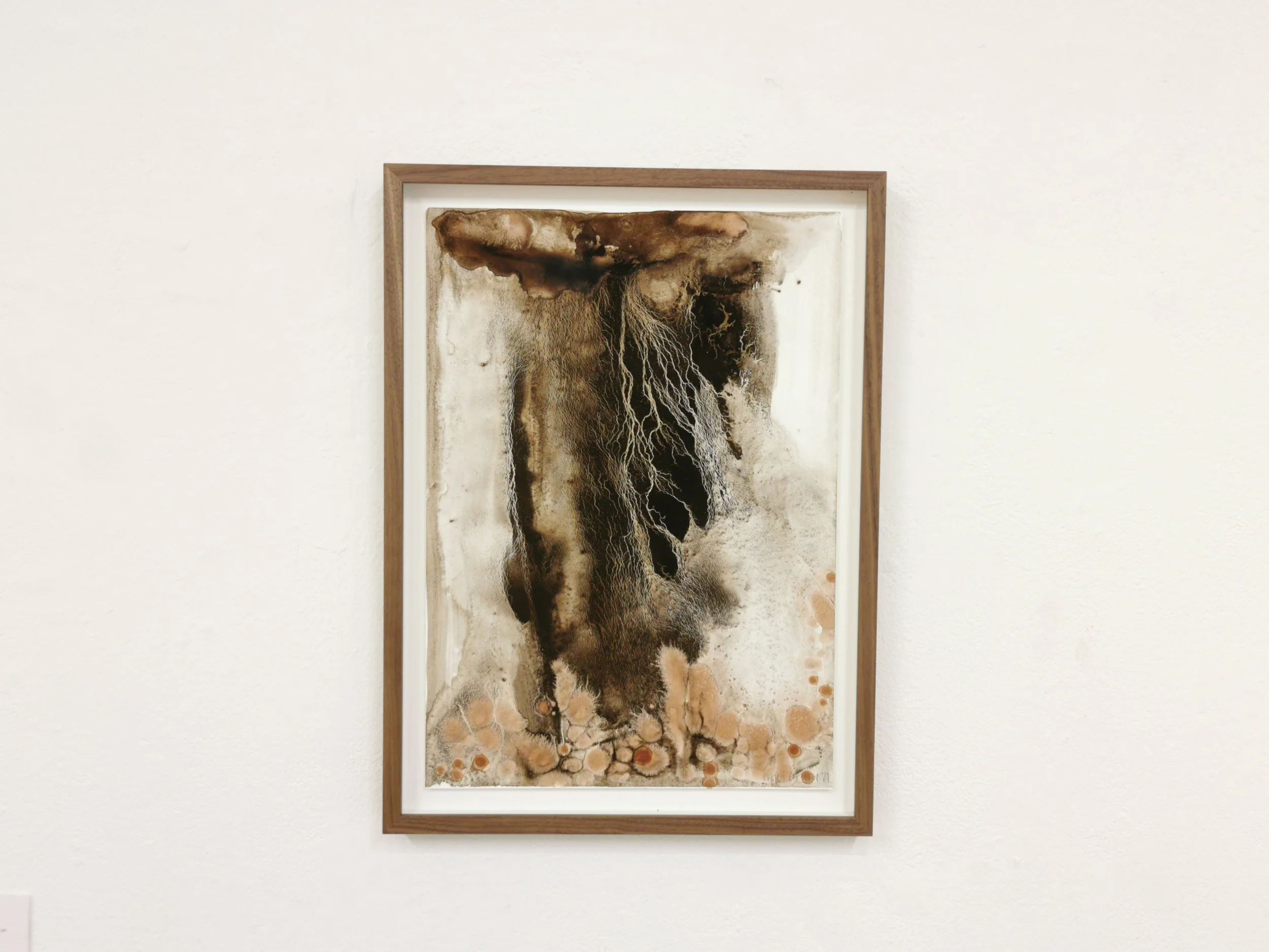 Underland - Belbulben Peat, Bladder Wrack on Yupo - 42 x 30cm - Kari Cahill - close.jpg