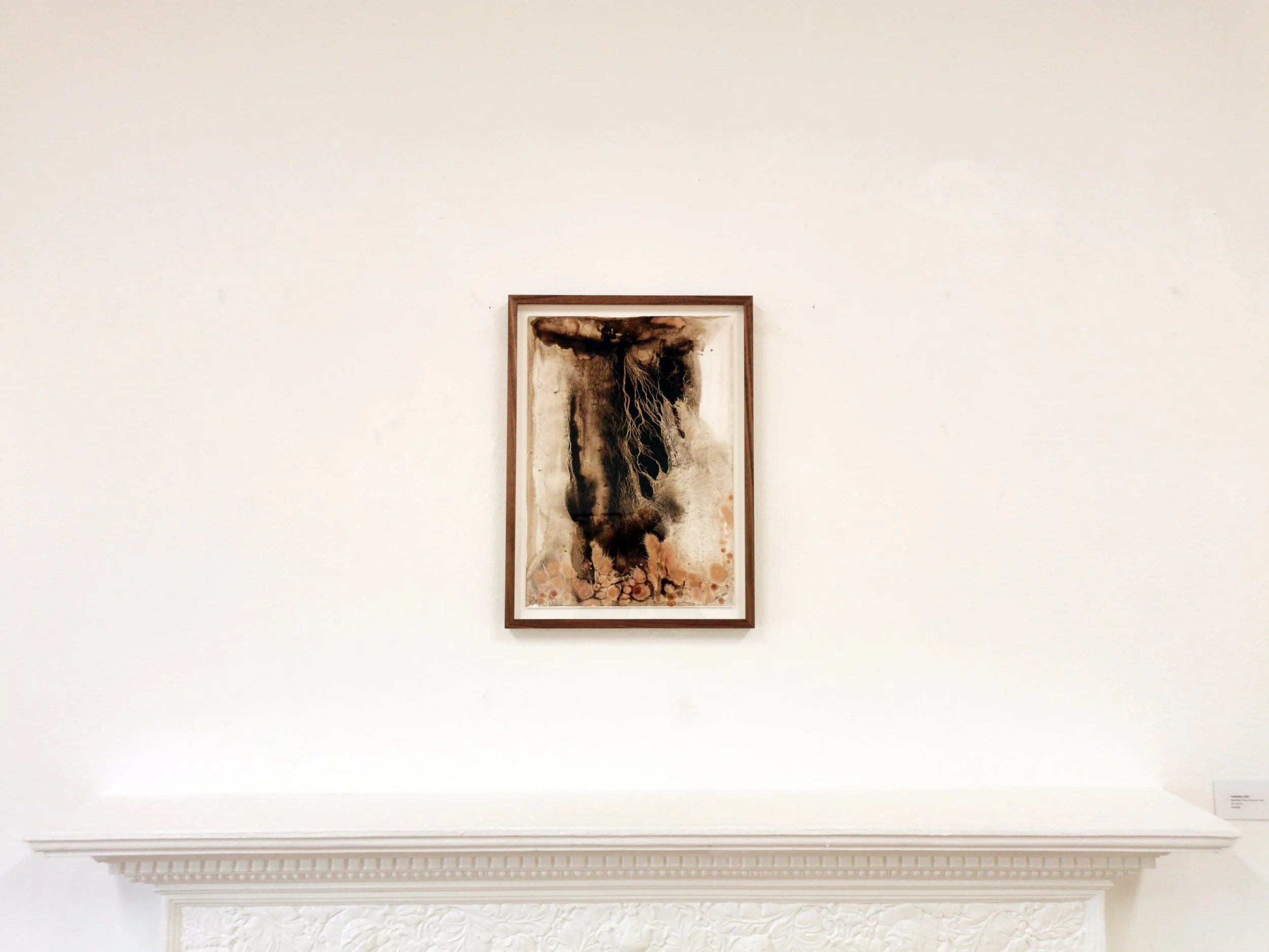 Underland - Belbulben Peat, Bladder Wrack on Yupo - 42 x 30cm - Kari Cahill - mantlepiece.jpg