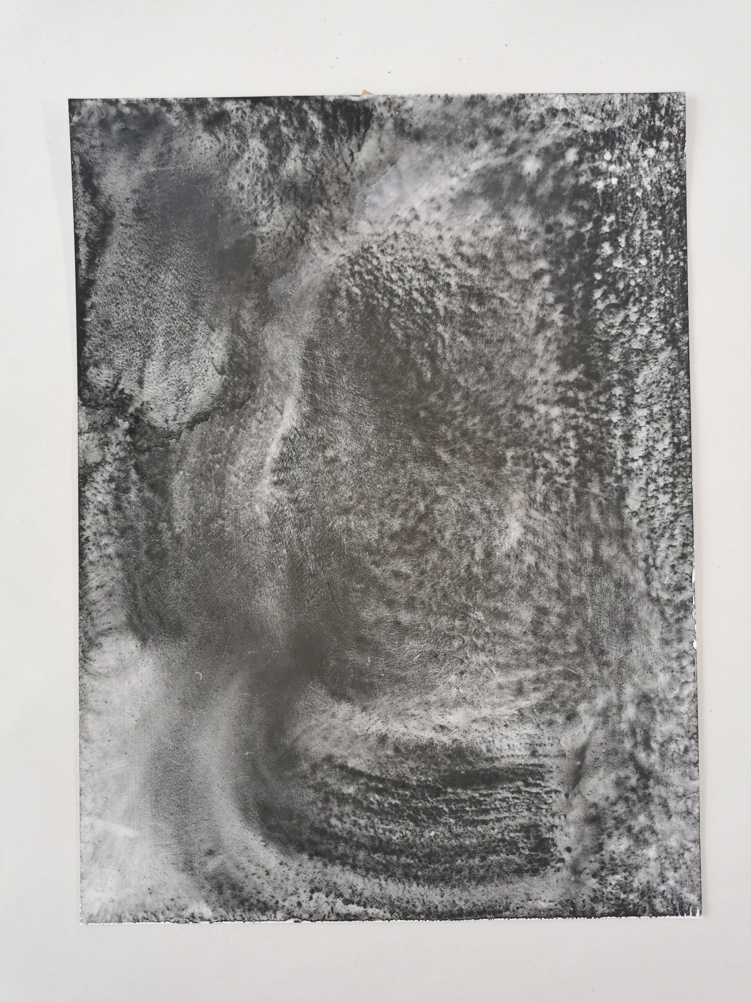 Melting & Unmelting - Charred kelp on Yupo - 30 x 23cm - Kari Cahill.jpg