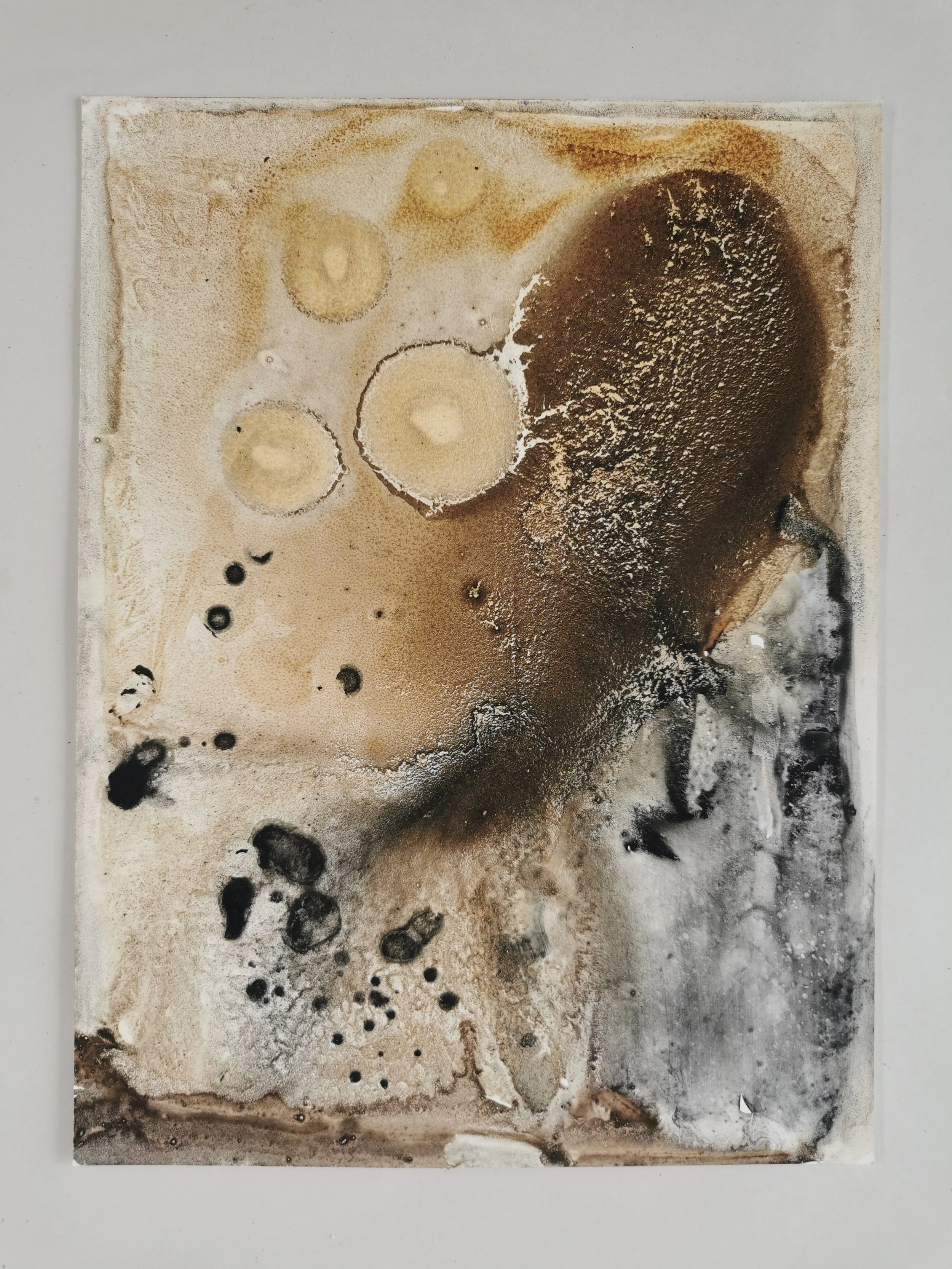 Immerging our Memory - Kelp, Wrack, Charred Kelp, Benbulben Pigment on Yupo - 30 x 23 cm - Kari Cahill.jpg