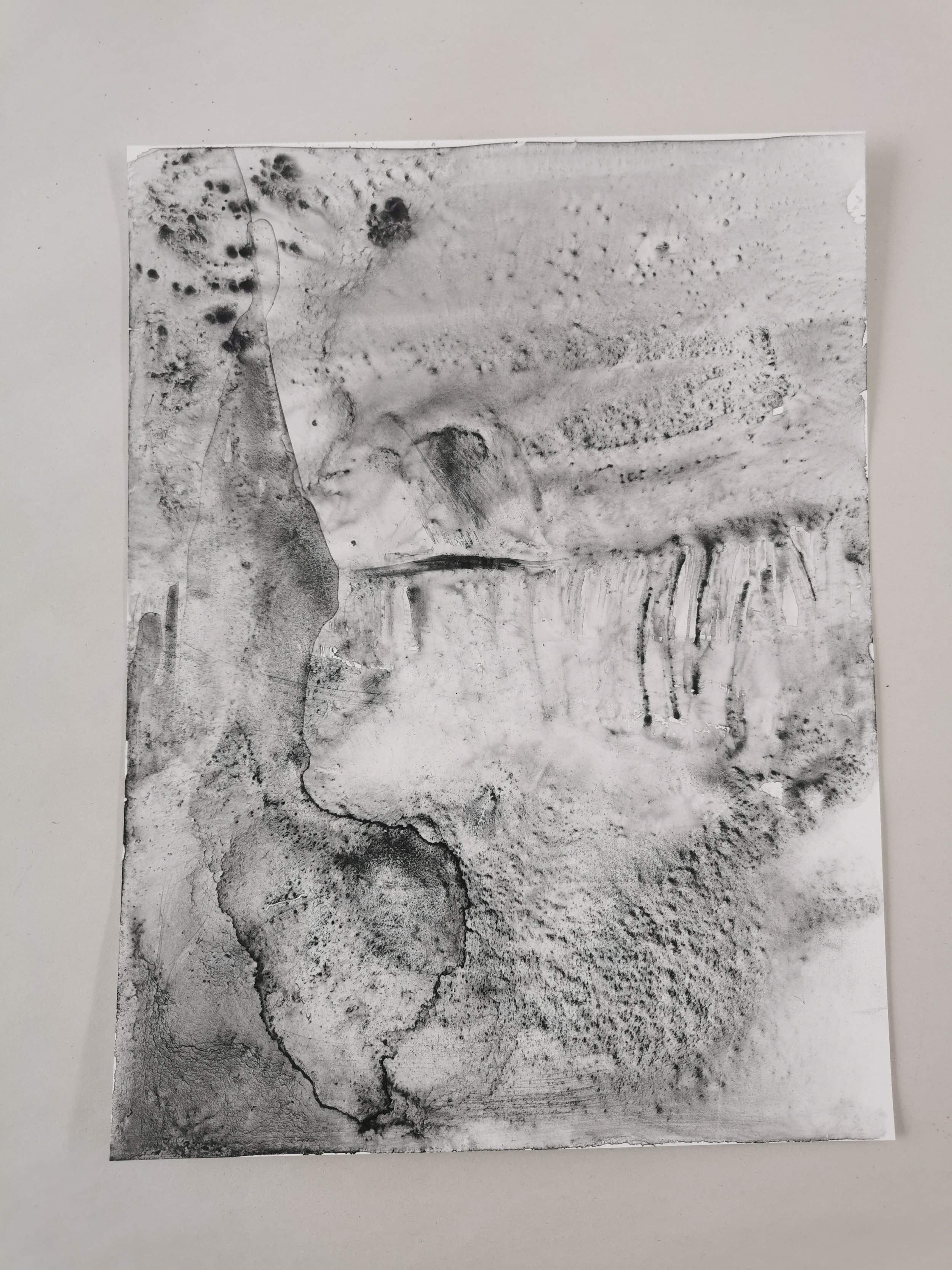 Biting Into Our Form - Charred kelp on Yupo - 30 x 23 cm - Kari Cahill.jpg