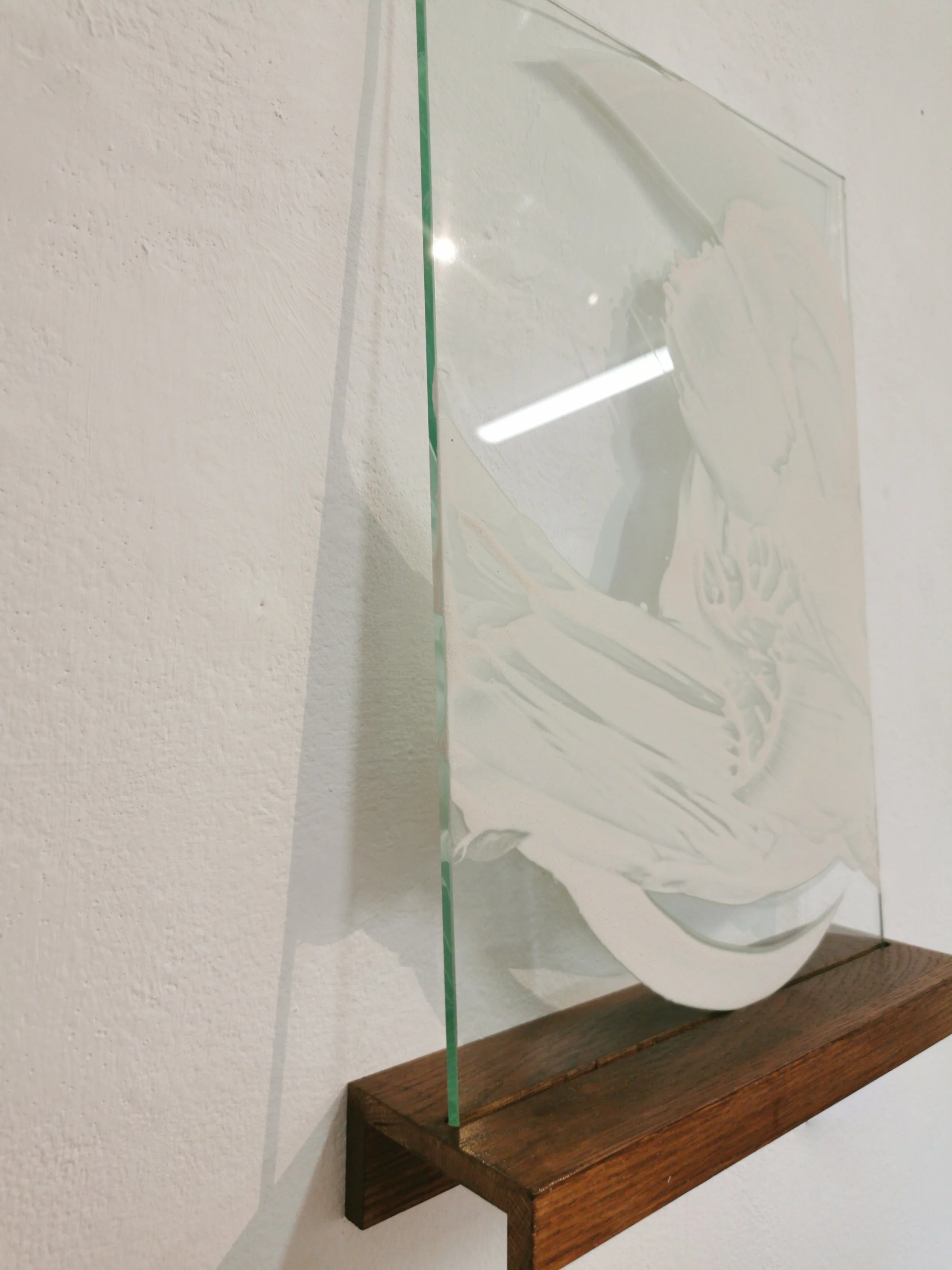 Tucked Up Tilt Up - Limpets and Nori Paste on Glass - 30 x 42cm - Kari Cahill - side view.jpg