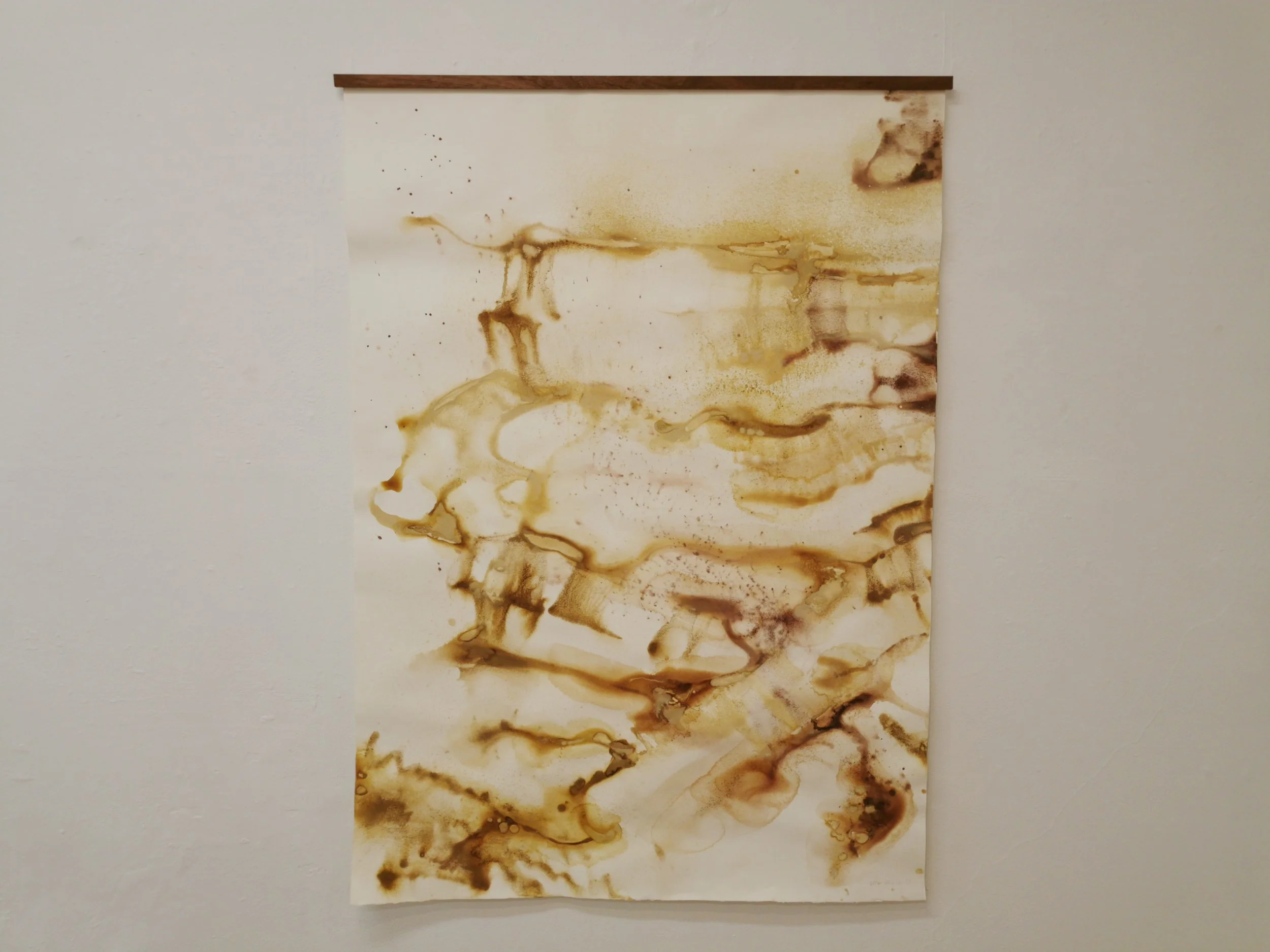 Deep Mapping - Dead Place Ochre, Benbulben Ochre, Wrack, Raghly Rick Ochre on Paper - 99 x 139cm - Exhibition close - Kari Cahill.jpg