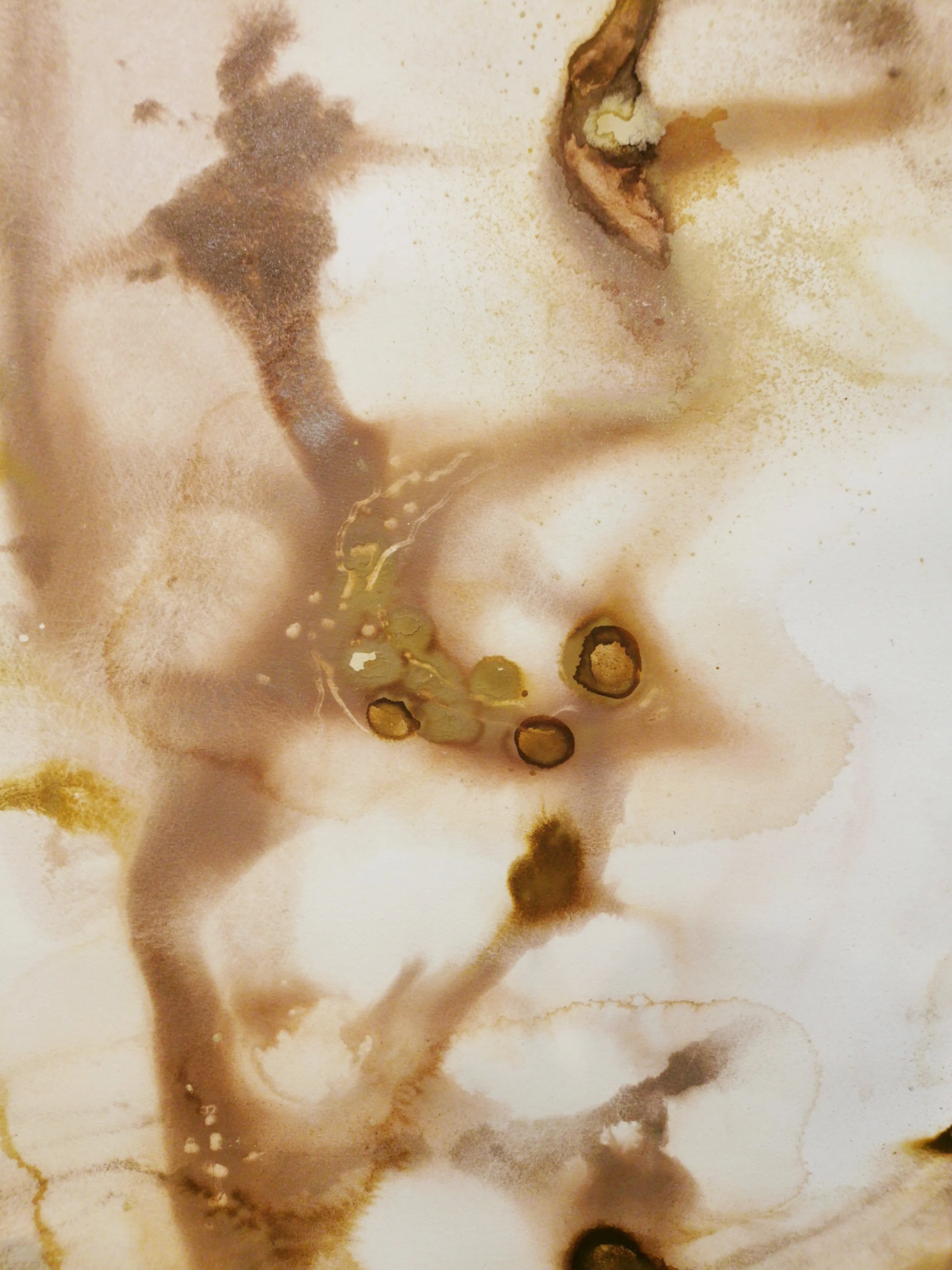 Ice Possession - Raghly Rich Ochre, Raghly Pale Ochre, Dead Place, Benbulben, Kelp on Paper - 99 x 139 cm - Exhibition install far  -  Kari Cahill - detail2.jpg