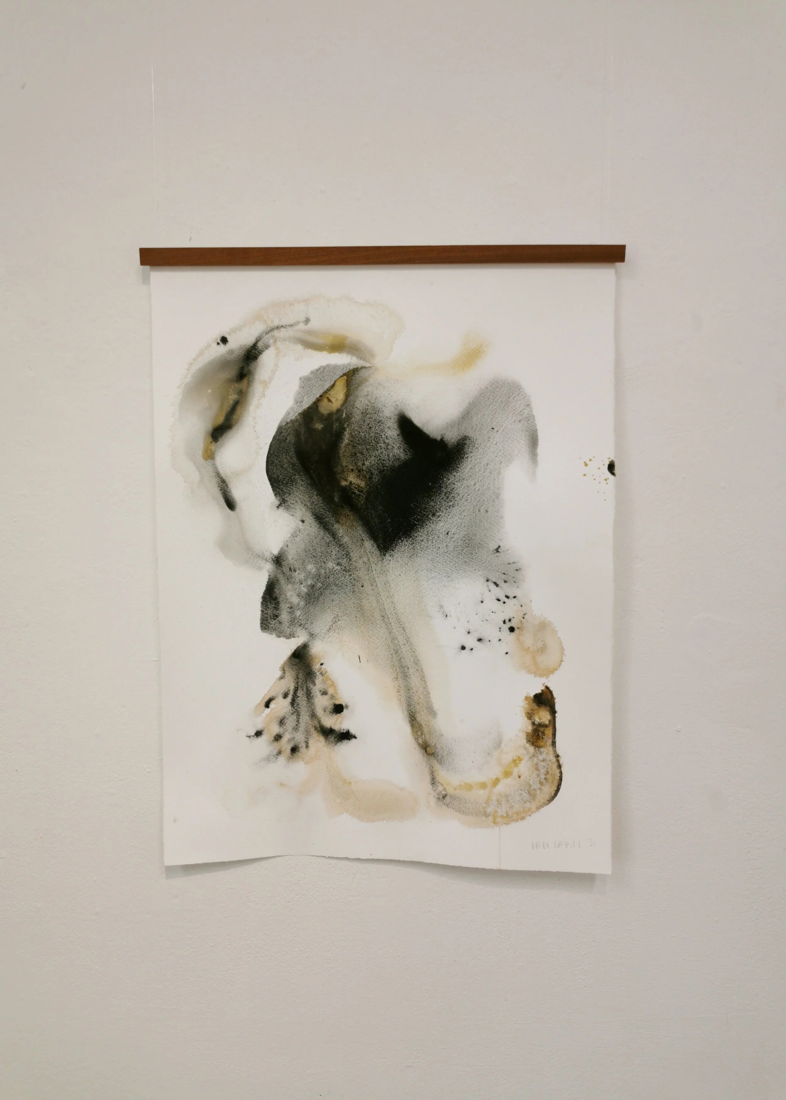 Carved out Exhale - Charred Kelp, Wrack, Benbulben, Raghley Ochre - 56 x 76cm - Install - Kari Cahill.jpg