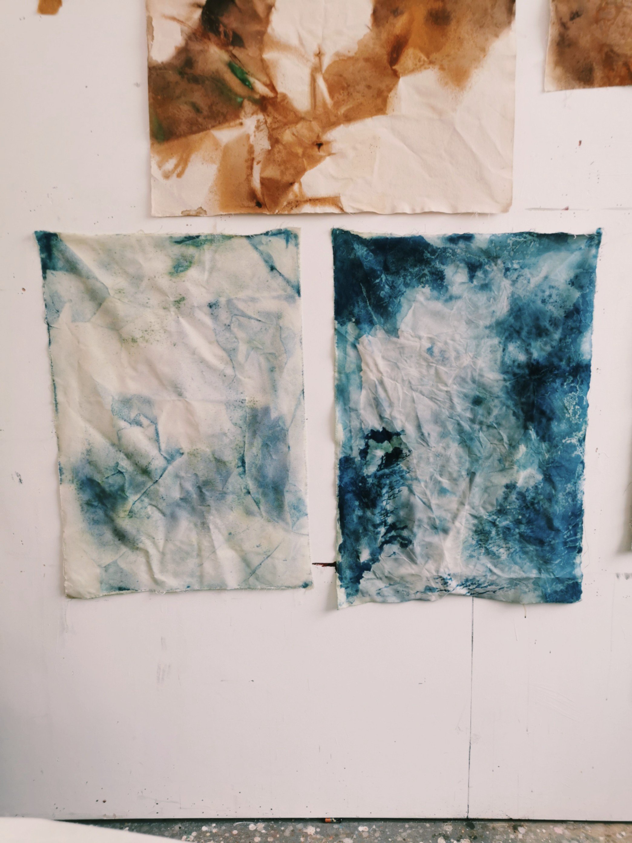 Process Kari Cahill - Cyanptype Process 2022 - irish Artist8.jpeg