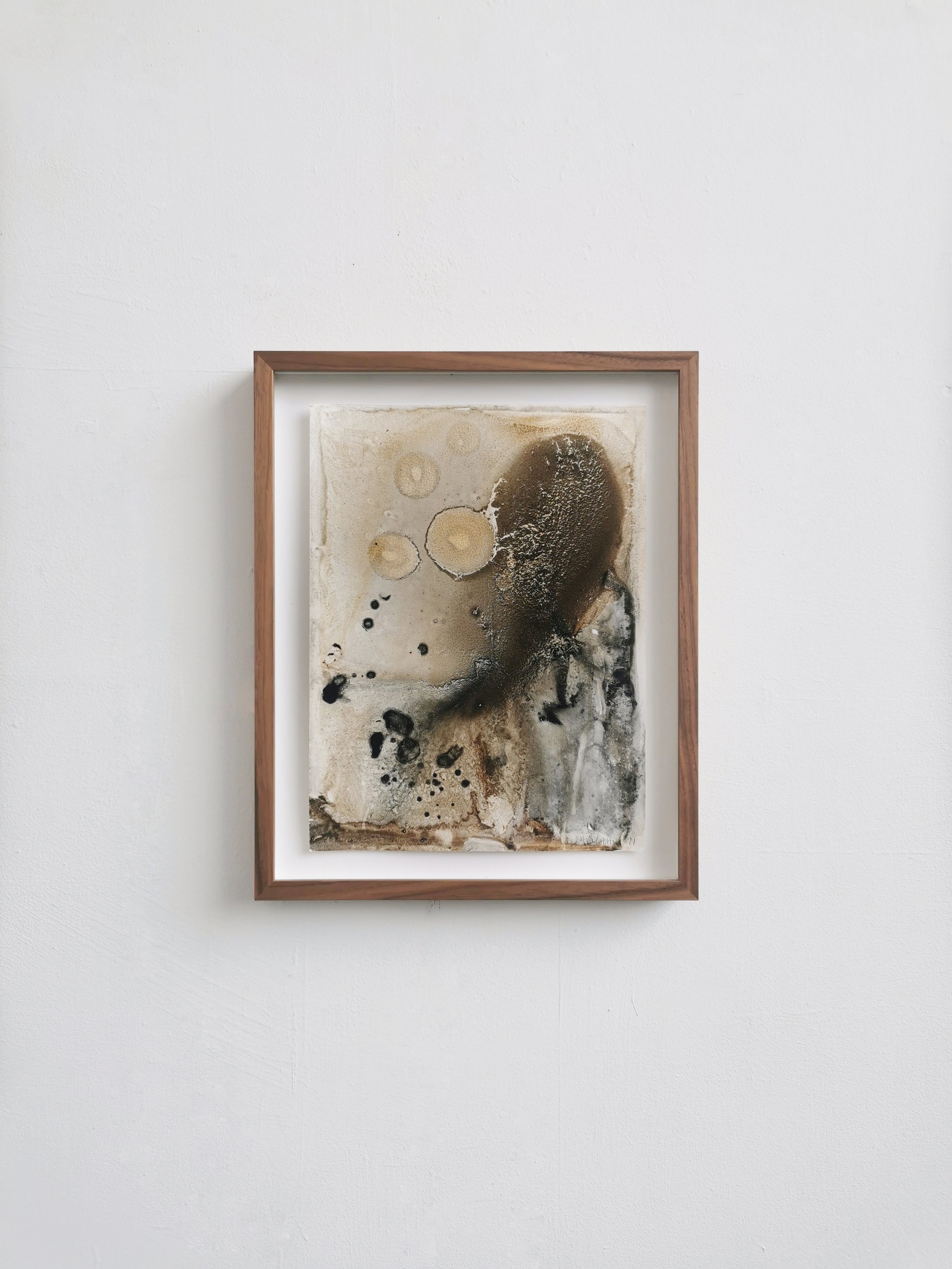 Immerging our Memory - Kelp, Wrack, Charred Kelp, Benbulben Pigment on Yupo - 30 x 23 cm - Exhibitin shotKari Cahill.jpeg