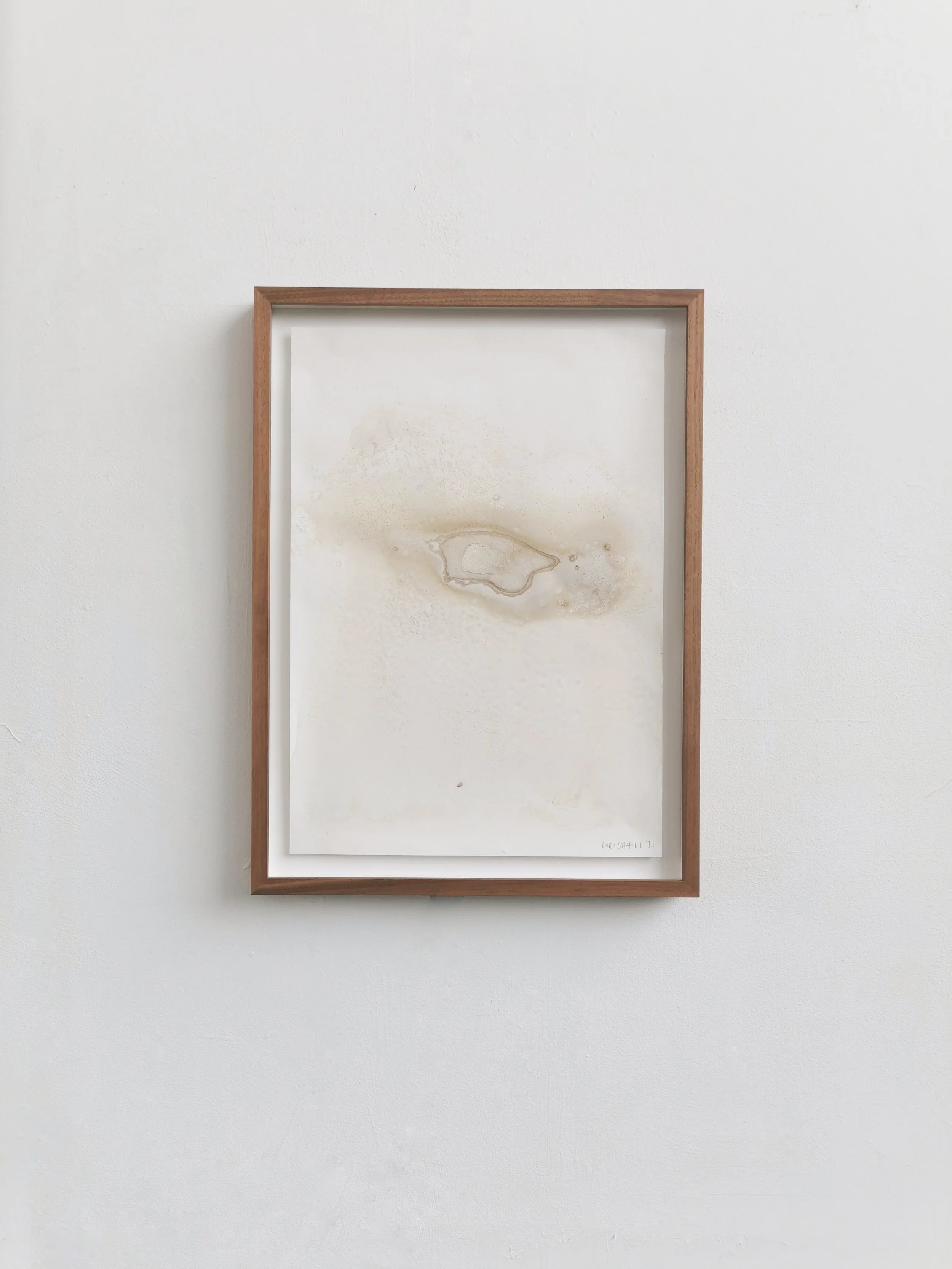 Entrusted Things - Limestone, Urchin, Holdfast Calcite on Yupo - 42 x 30cm - Kari Cahill close.jpeg