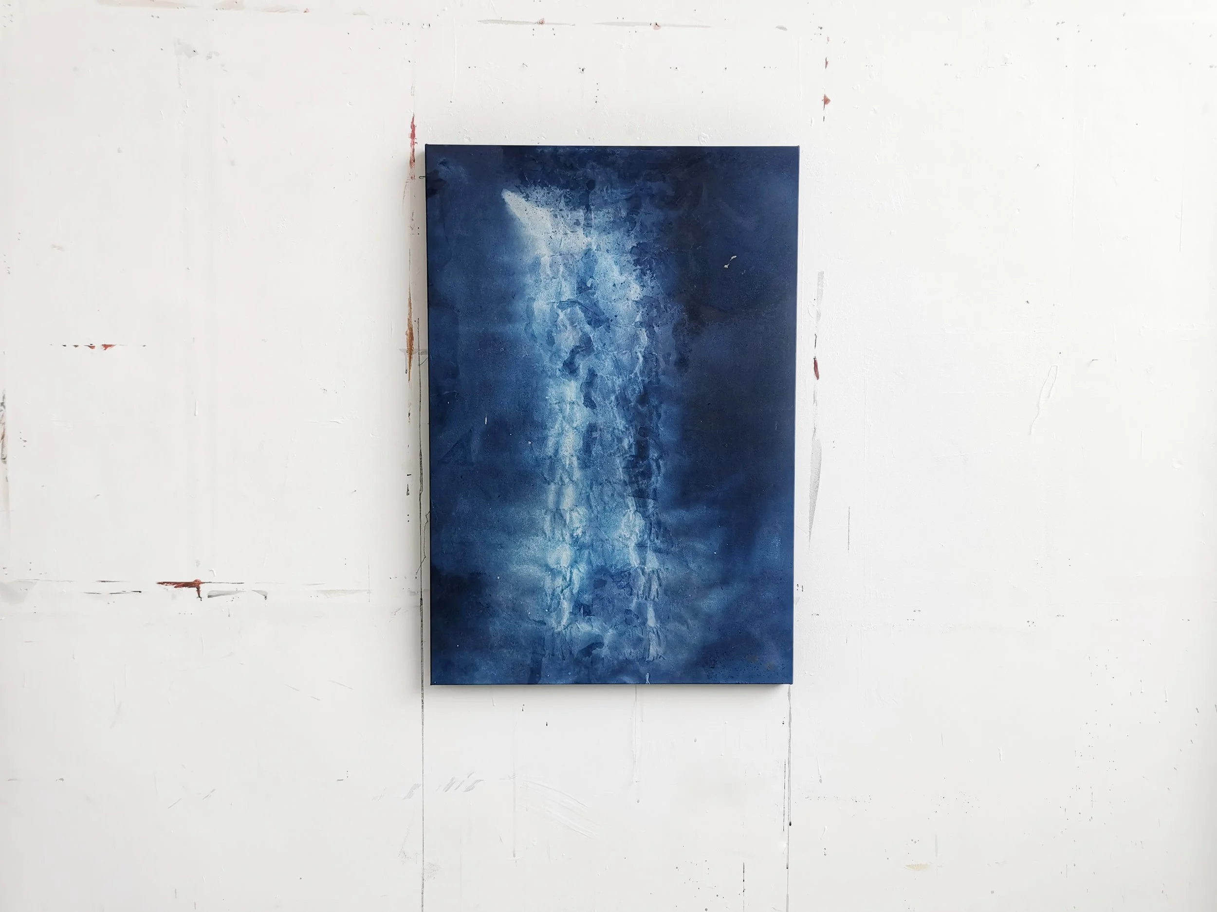 Flare - cyanotype on canvas - 95 x 65cm - Kari Cahill 2022.jpeg