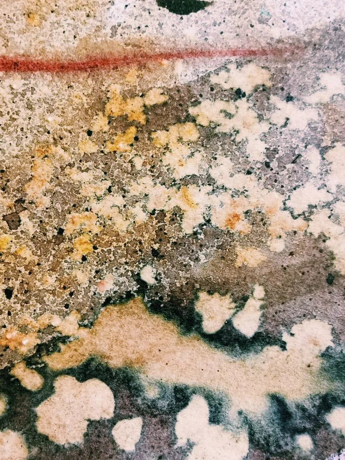 'Folds In Your Minerals' 2021 - Copper, Iron, Oakgall, Raghly Ochre, Iron Rich Ochre, Charred Kelp, oil pastel on paper. 140 x 130cm- Kari Cahill  detail 3.jpeg