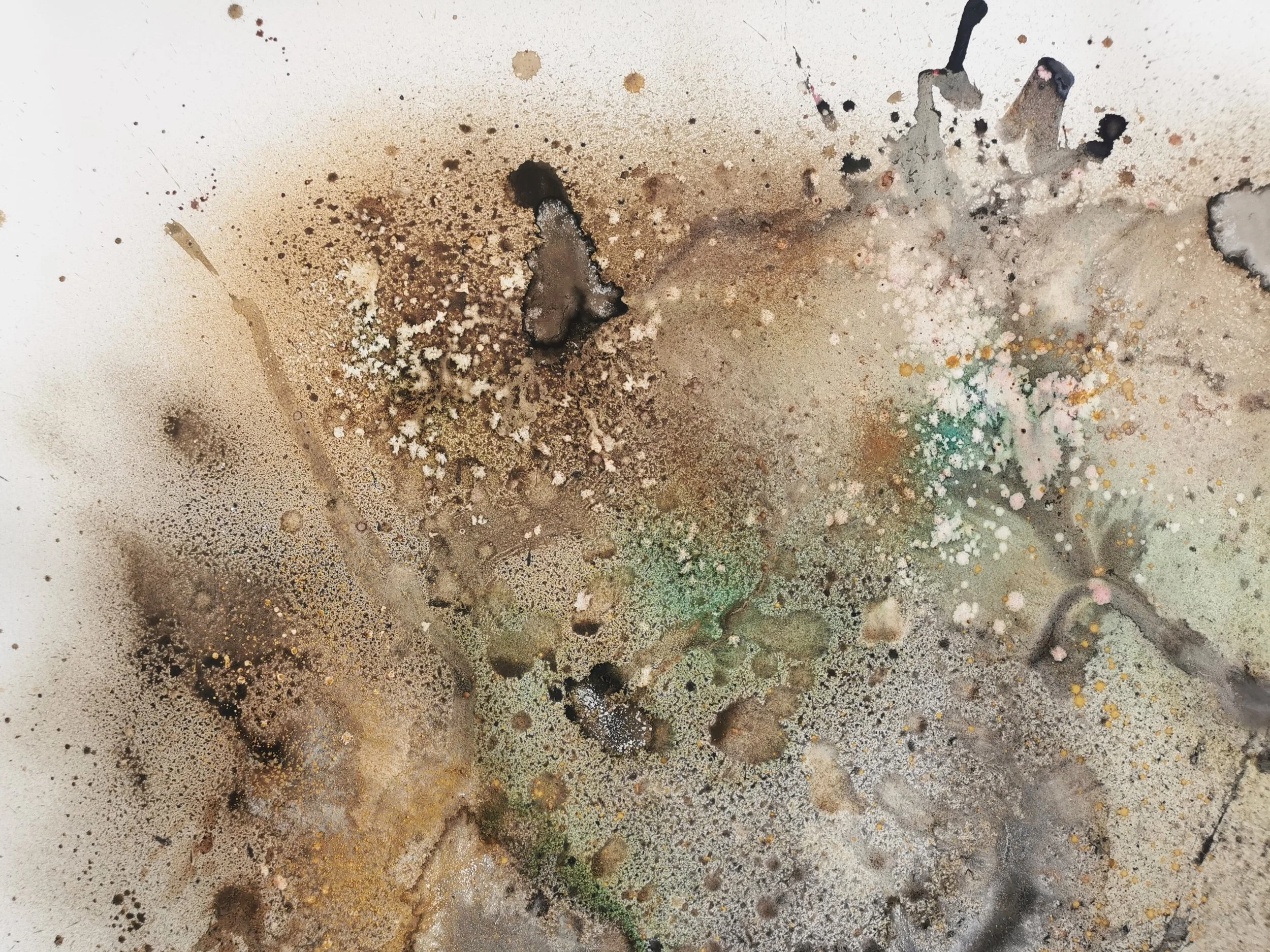 'By Equinox Drenched 2021'- 200x140cm-Earth pigment,Kelp,Shell,Berries,Sloes,Lichen,Oak Gall,Liquid Iron,Copper Scraps detail.jpg