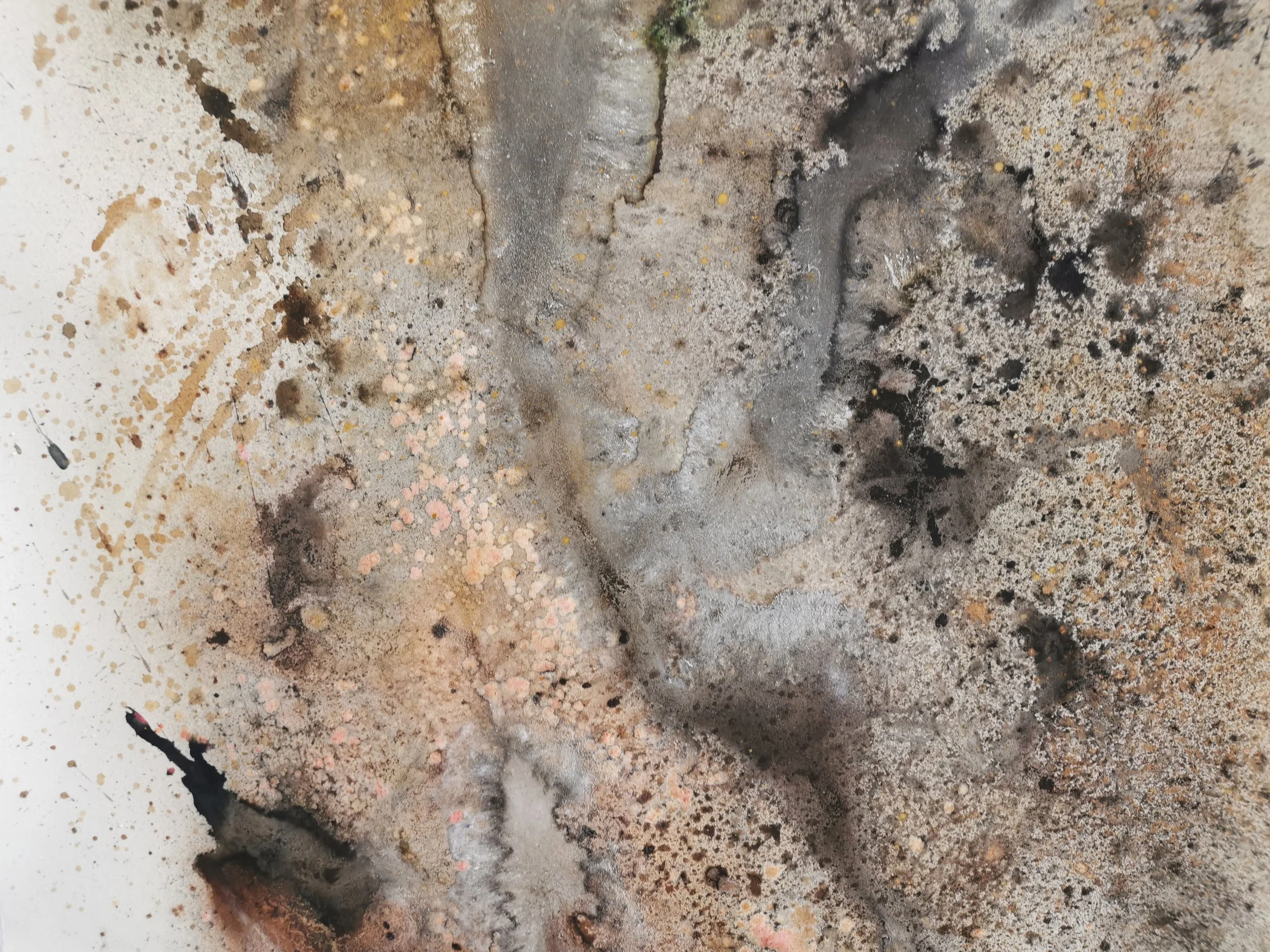 'By Equinox Drenched 2021'- 200x140cm-Earth pigment,Kelp,Shell,Berries,Sloes,Lichen,Oak Gall,Liquid Iron,Copper Scraps.jpg