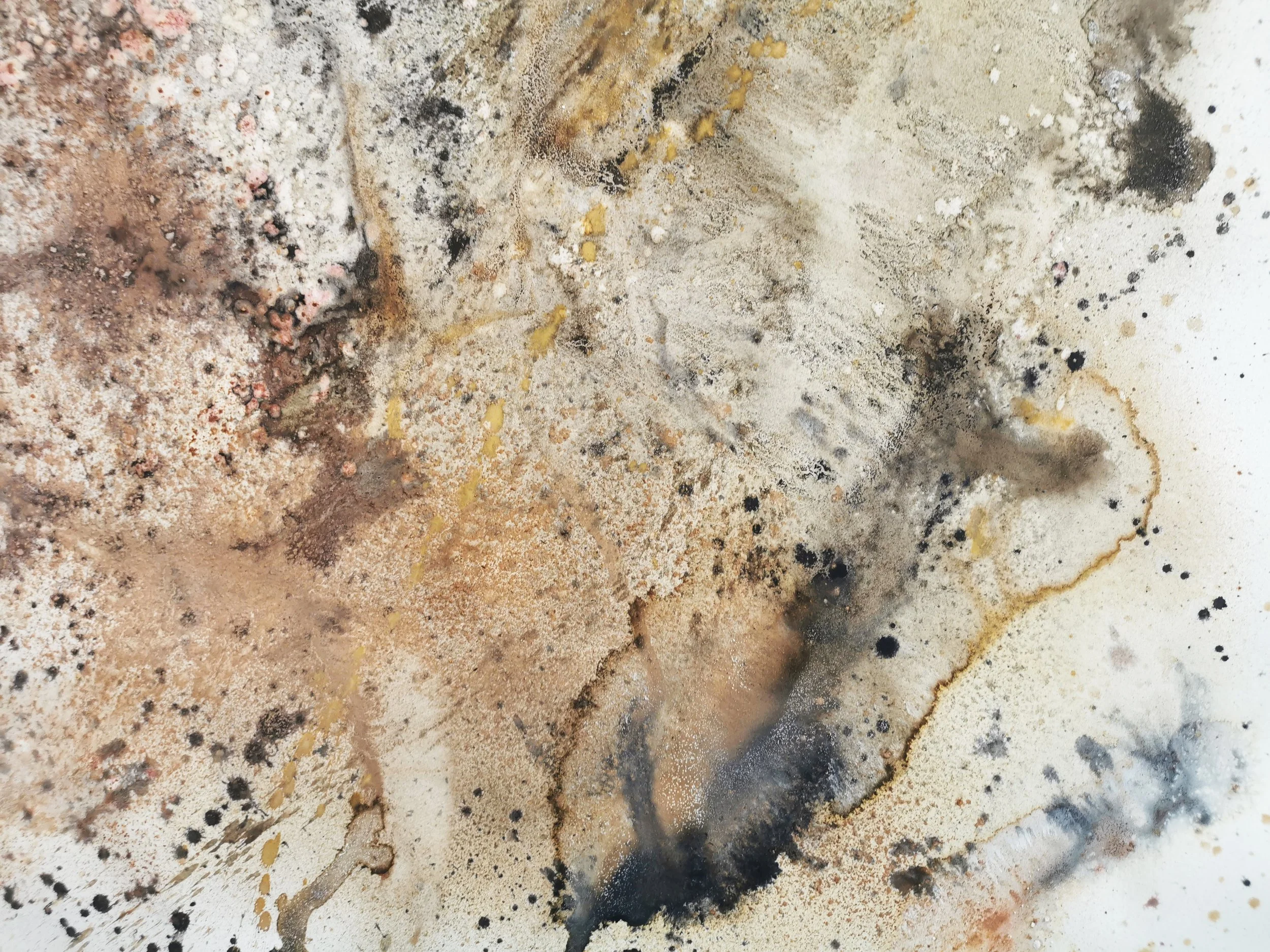 'By Equinox Drenched 2021'- 200x140cm-Earth pigment,Kelp,Shell,Berries,Sloes,Lichen,Oak Gall,Liquid Iron,Copper Scraps detail2.jpg