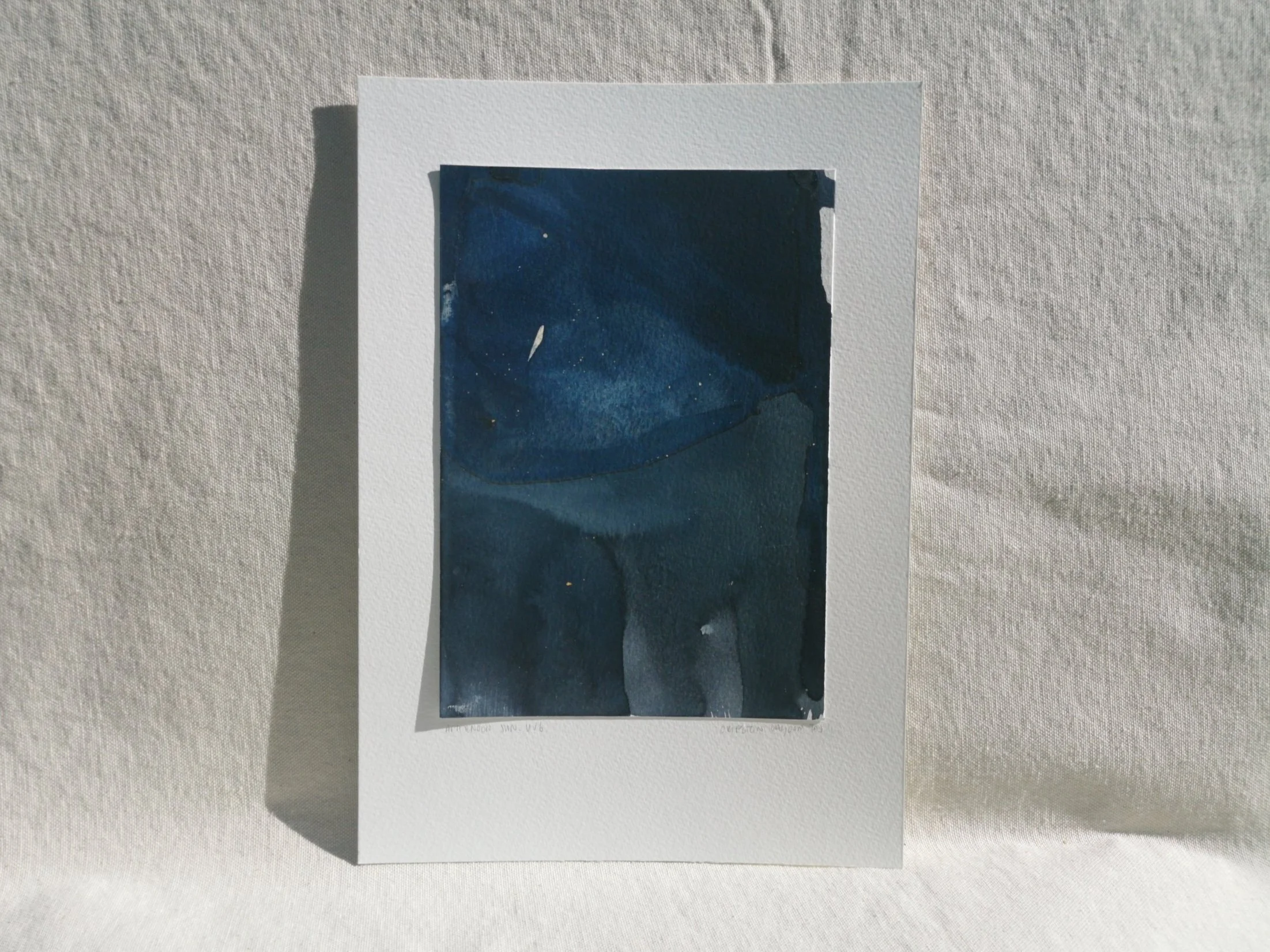 A5+Orielton+Lagoon+i+-+Australis+-+Cyanotype%2C+Soda%2C+Vinegar+on+paper+-+297+x+210mm+-+The+Earth+Spun+Light+-+Kari+Cahill+Robert+Doherty+-+2023+2.jpg