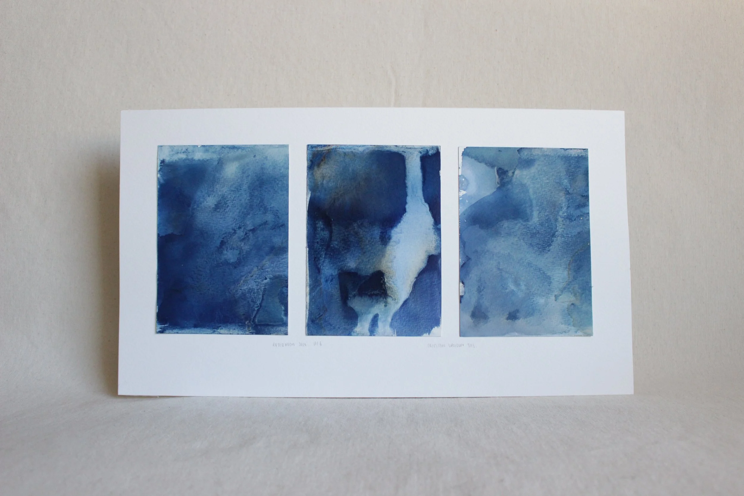 Triptych Orielton Lagoon - Australis - Cyanotype, Soda, Vinegar on paper - 225x420 - The Earth Spun Light - Kari Cahill Robert Doherty - 2023 2.JPG