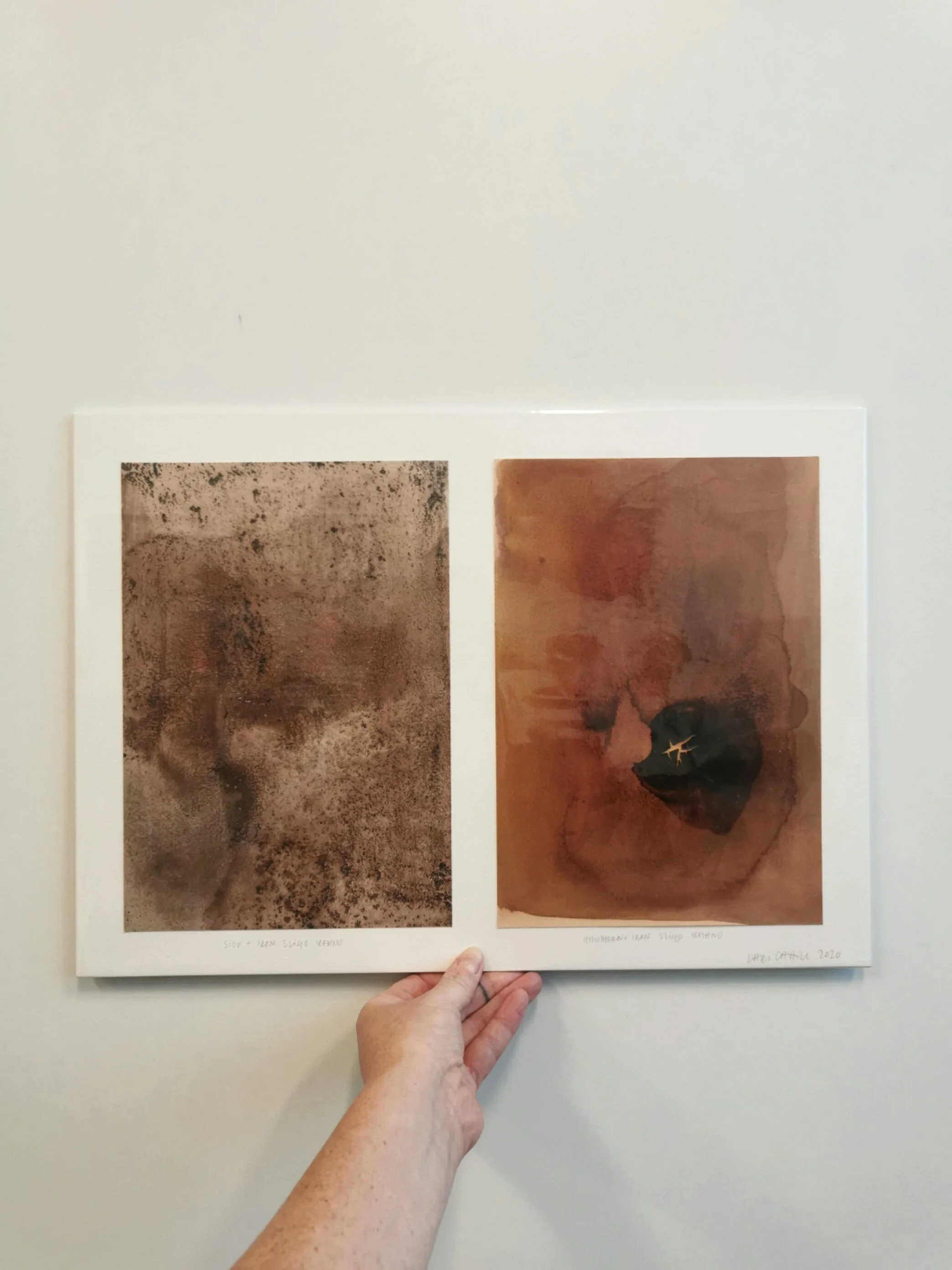 Sloe and Iron & Hawthorn and Iron, Sligo 2020.jpeg