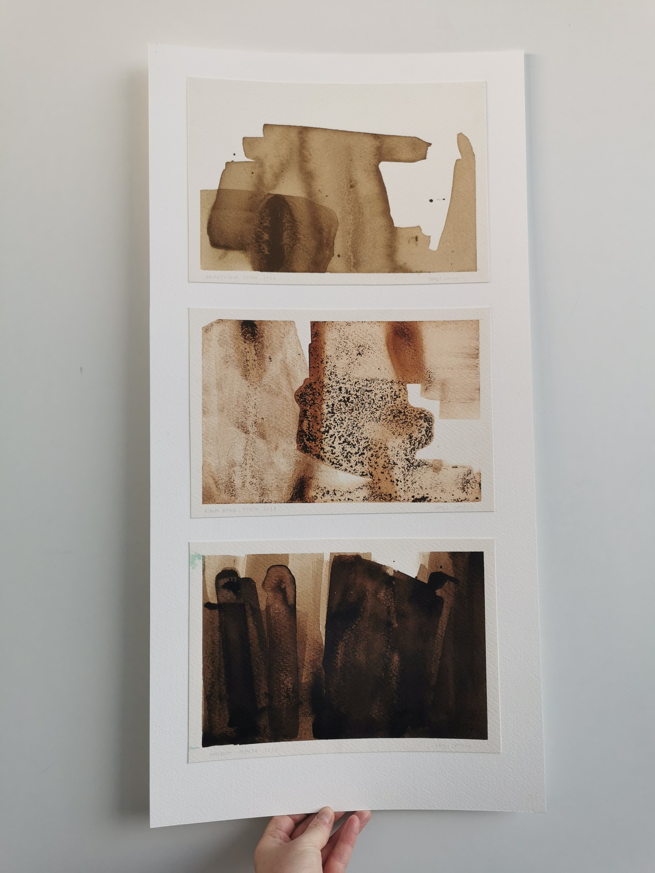 Dandelion, Birch Bark, Walnut. 2021 Triptych.jpg