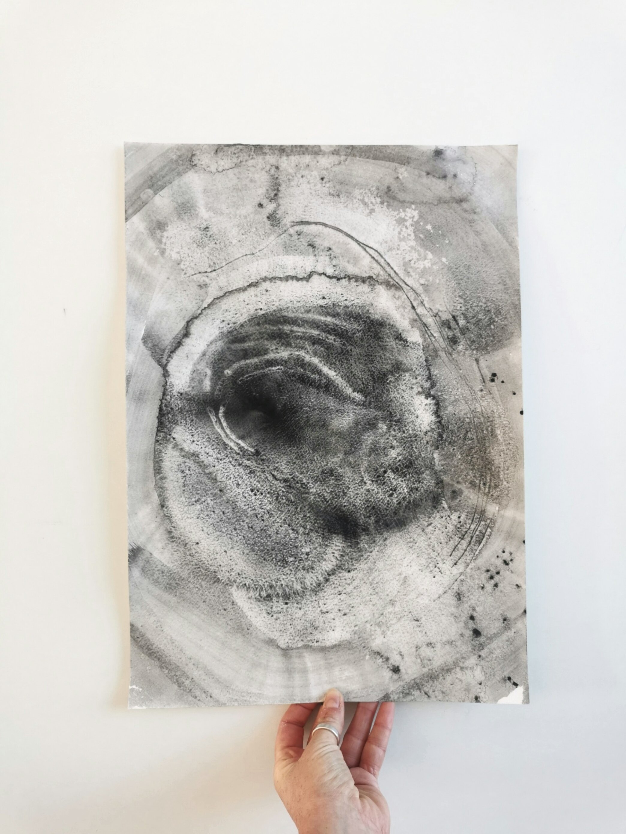 Petrified Pulse 2022.jpeg