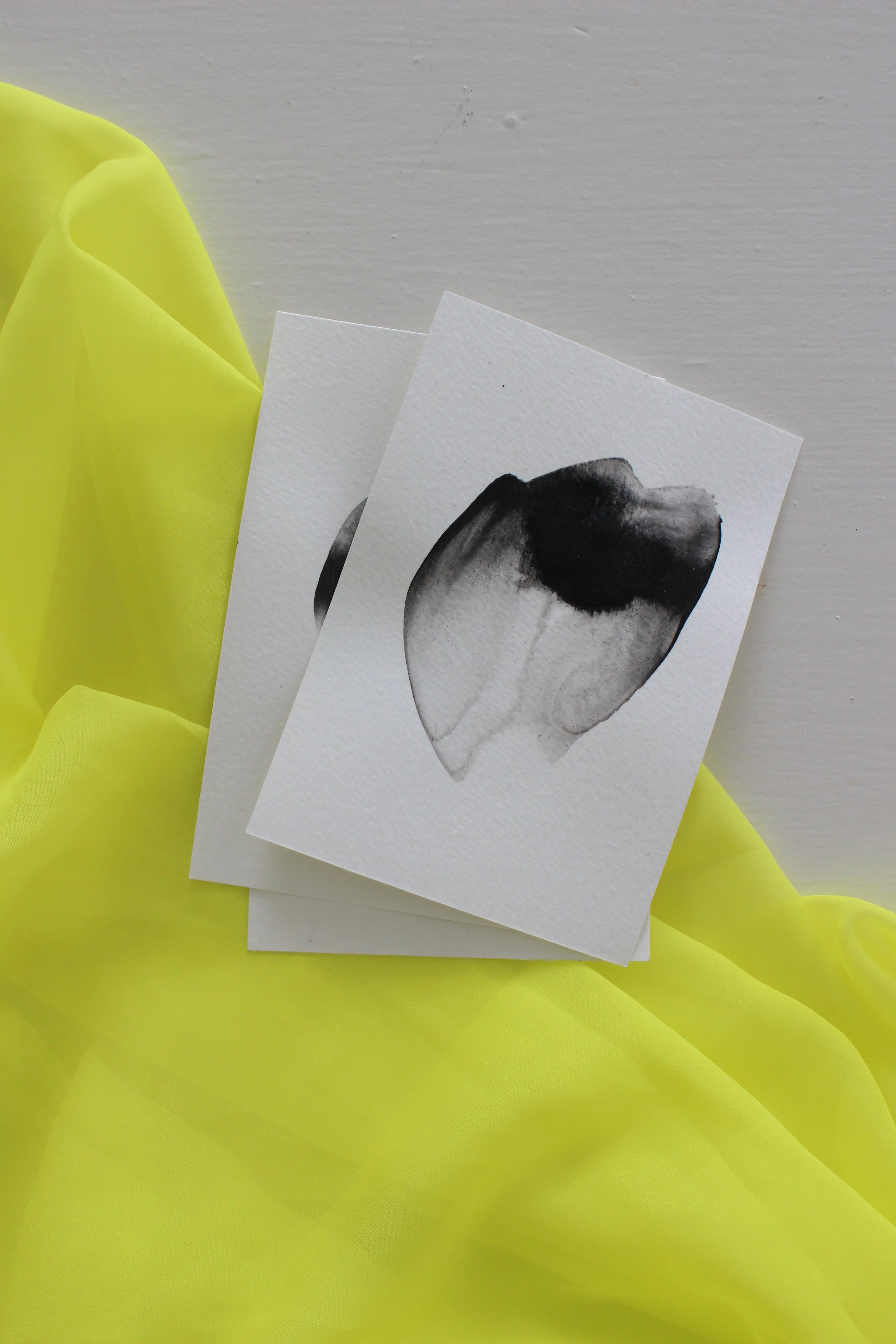 Kari Cahill - BLOTCHIMG_0187.JPG