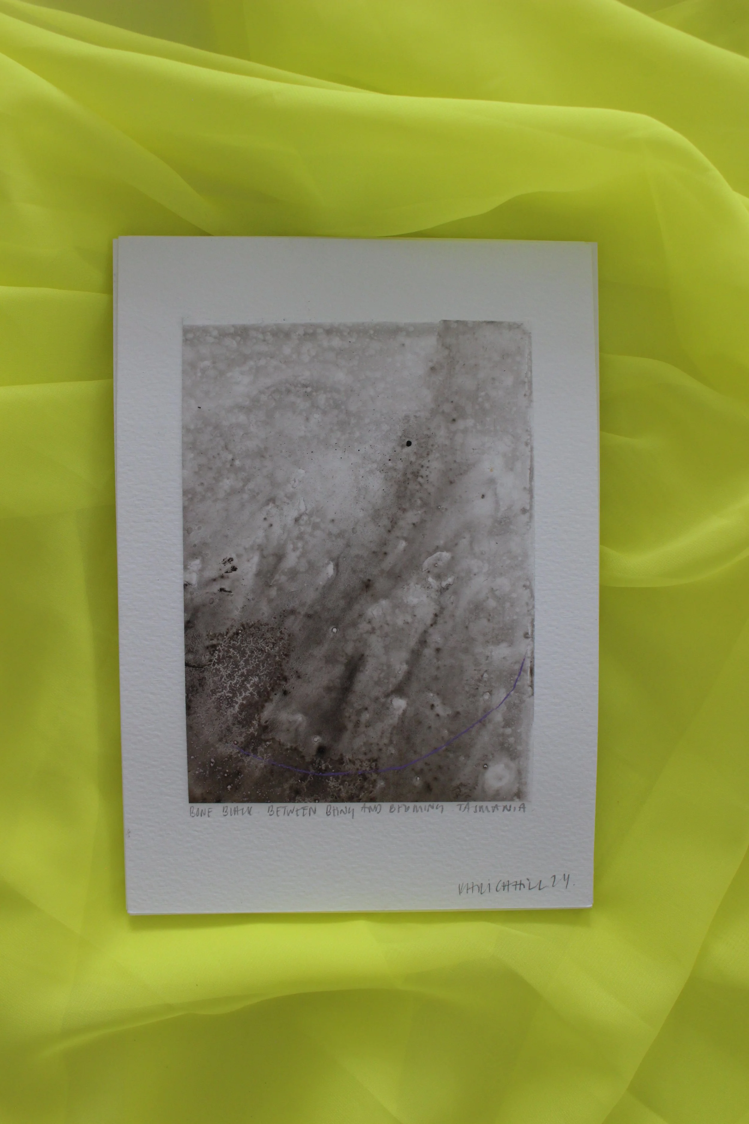 Kari Cahill - A5 SINGLEIMG_0181.JPG